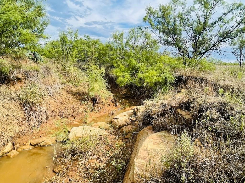 Megargel, Archer County, TX Farms and Ranches, Undeveloped Land