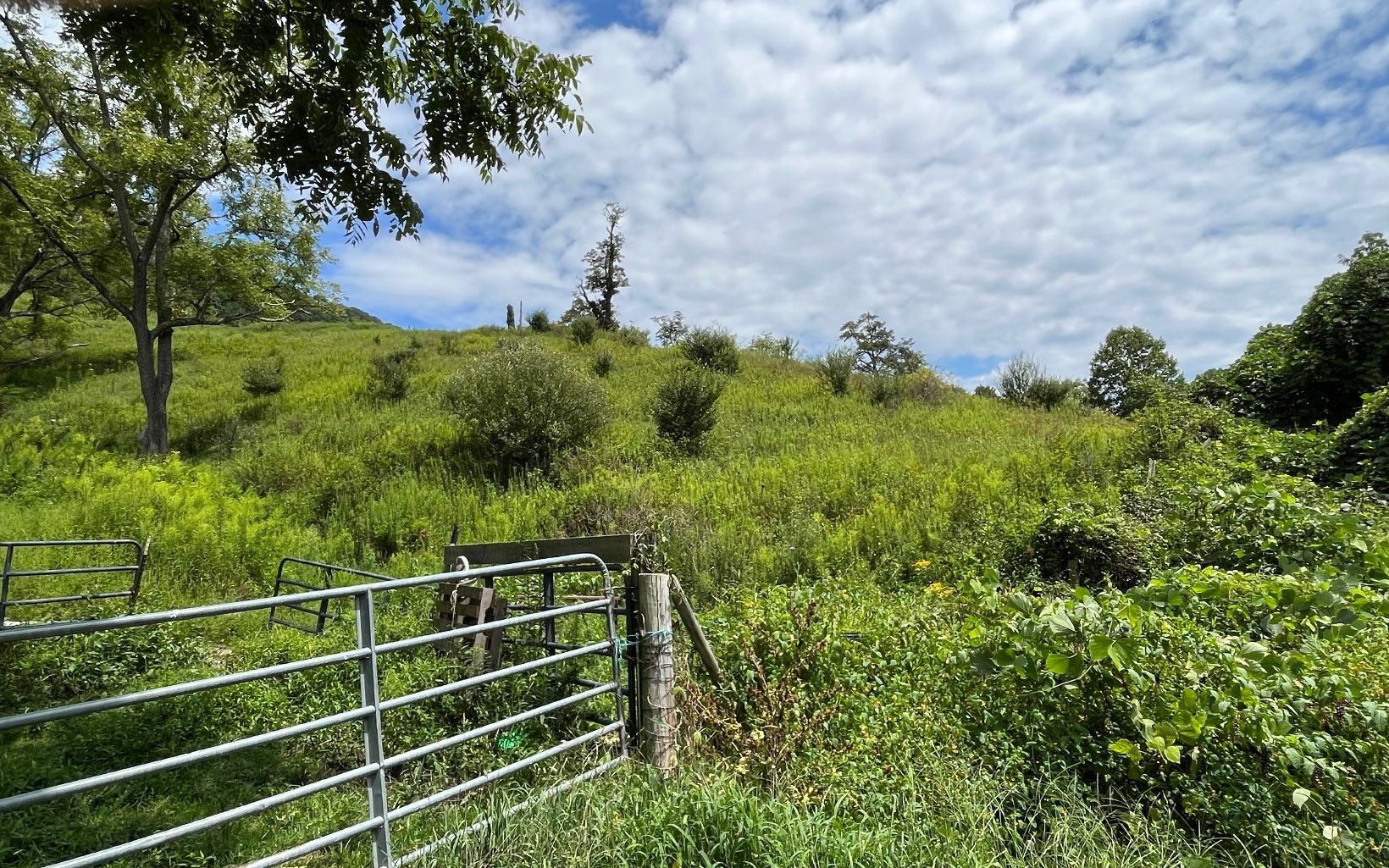 Waynesville, Haywood County, NC for sale Property ID 414727378 LandWatch