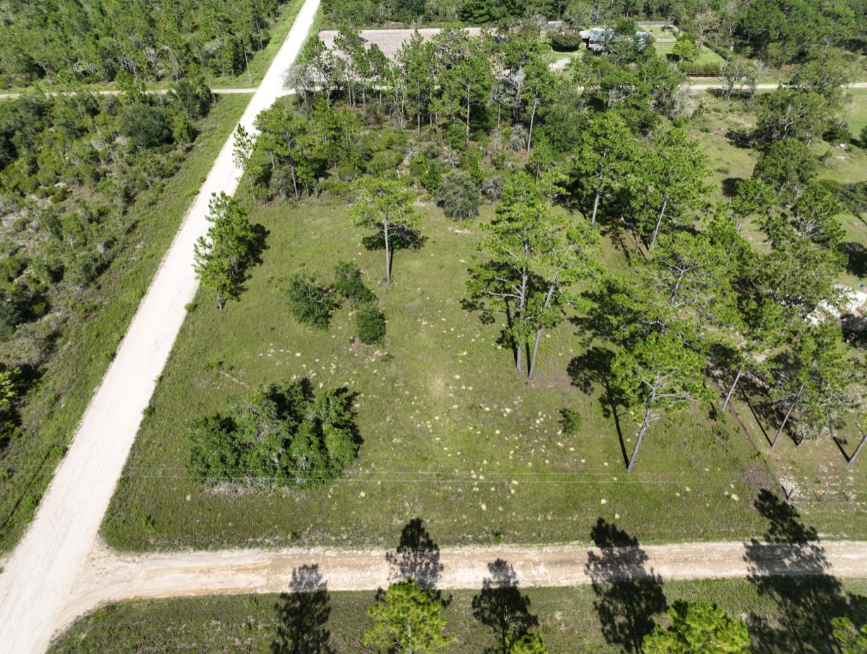 Williston, Levy County, FL Undeveloped Land, Homesites for sale