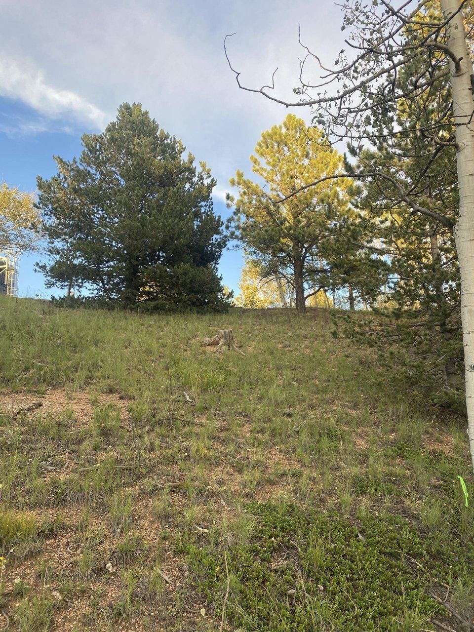 224 Deadwood Rd, Cripple Creek, CO 80813 LandWatch