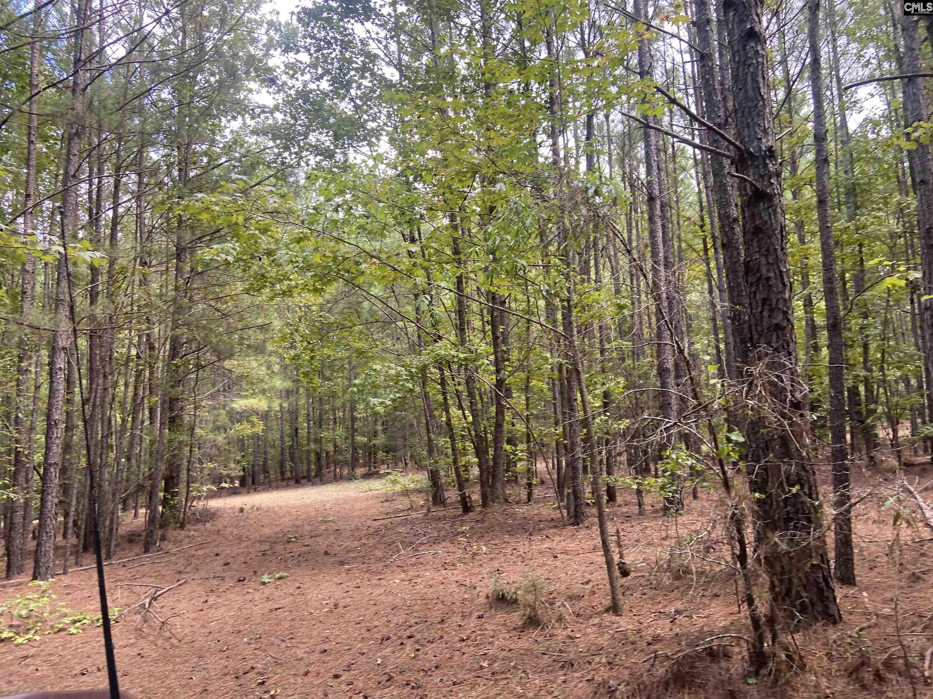 Ridgeway, Kershaw County, SC Undeveloped Land, Homesites for sale