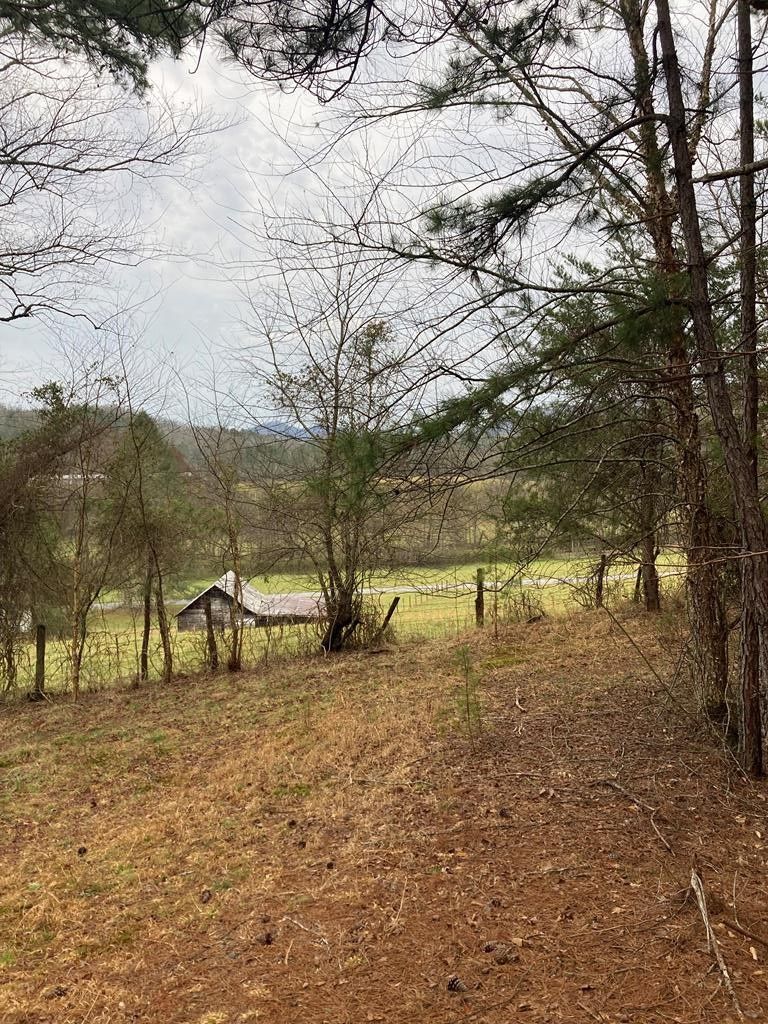 Warne, Clay County, NC Undeveloped Land for sale Property ID 413004971