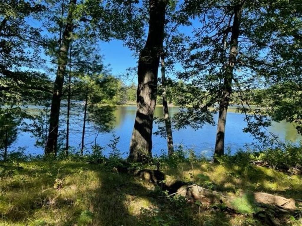 Comstock, Barron County, WI Undeveloped Land, Lakefront Property