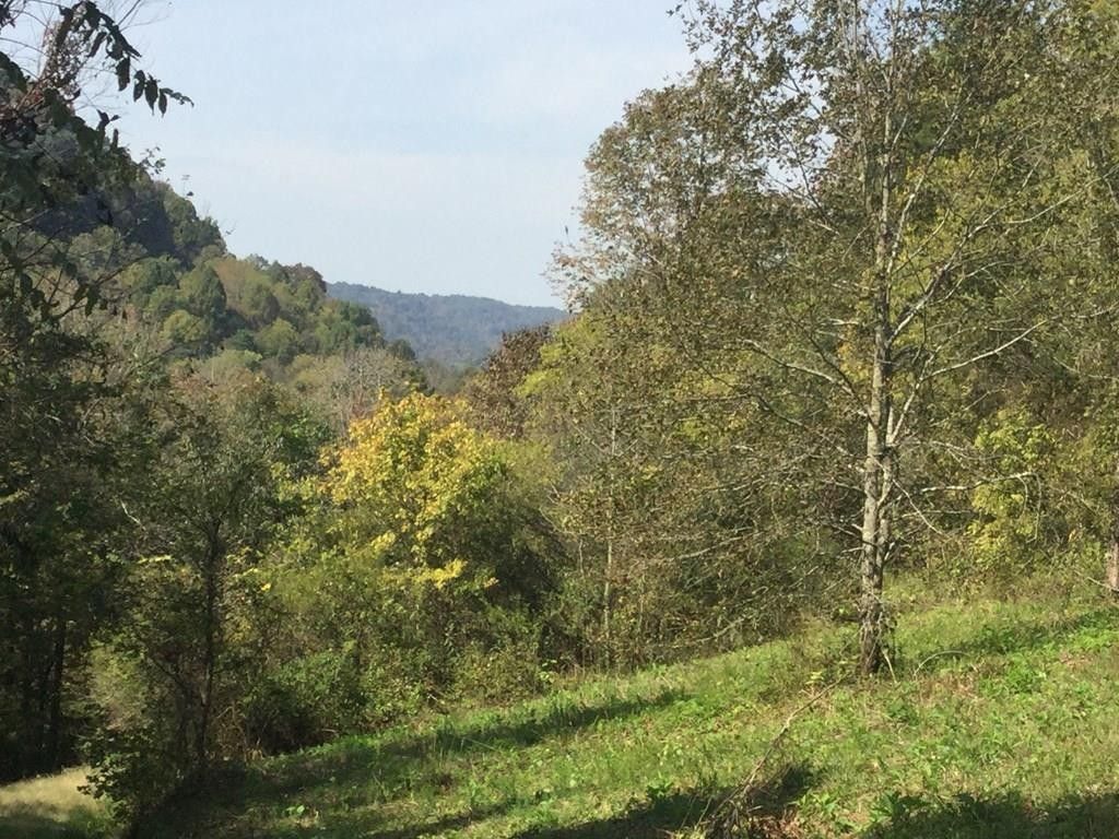 Gainesboro, Jackson County, TN Undeveloped Land, Lakefront Property