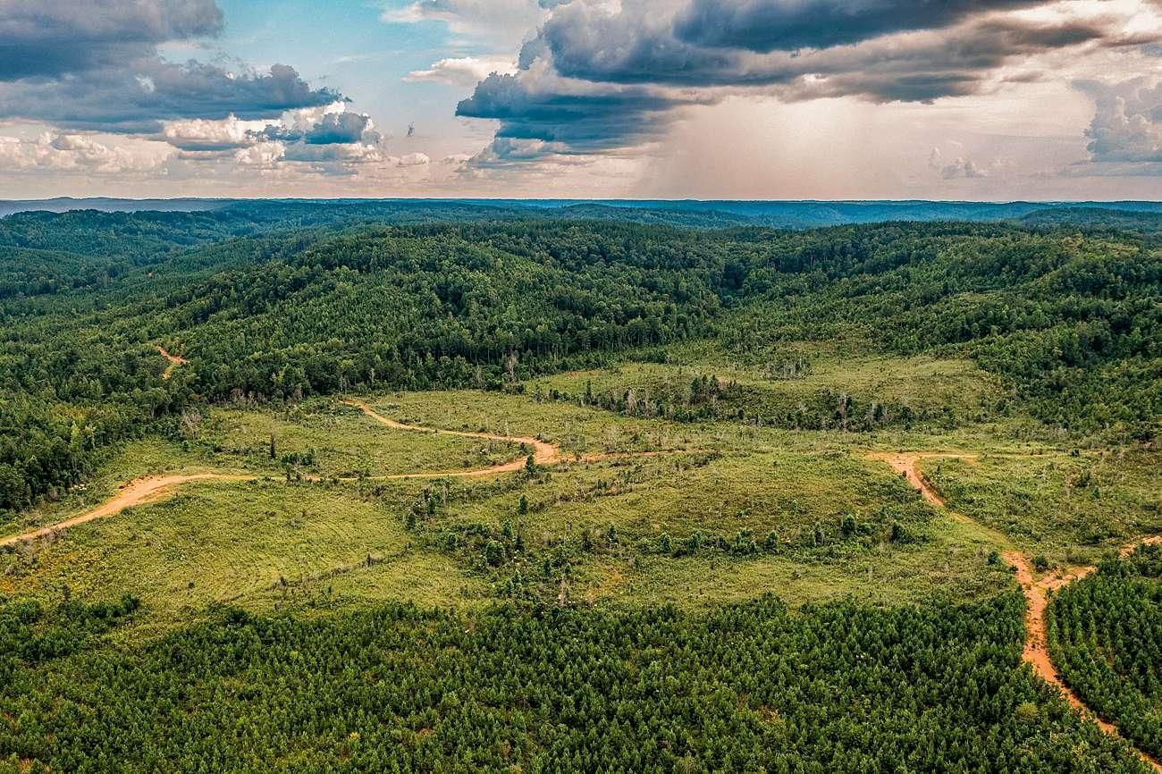 Carbon Hill, Walker County, AL Recreational Property, Timberland Property, Hunting Property for