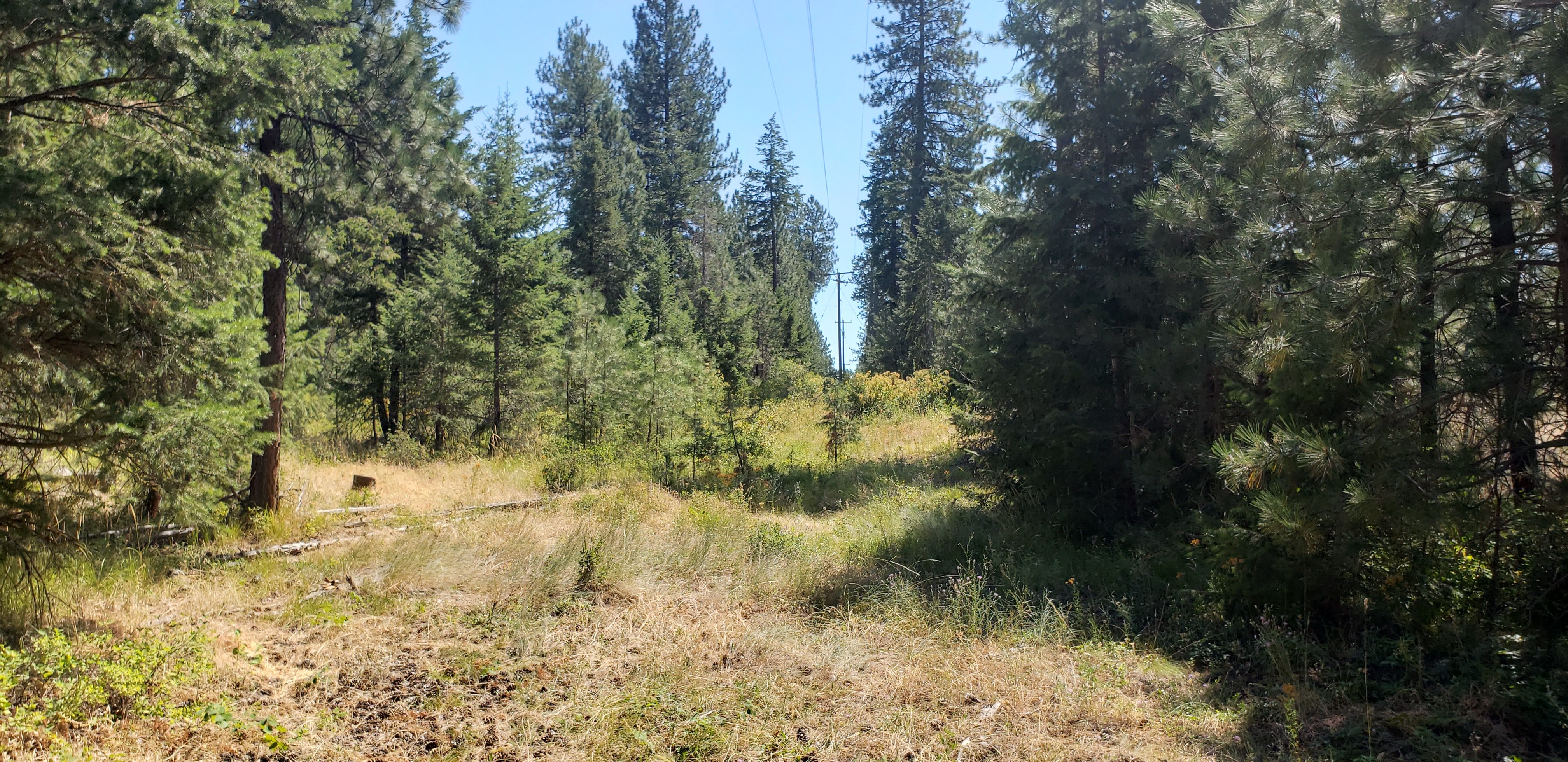 3990 State Rd, Loon Lake, WA 99148 LandWatch