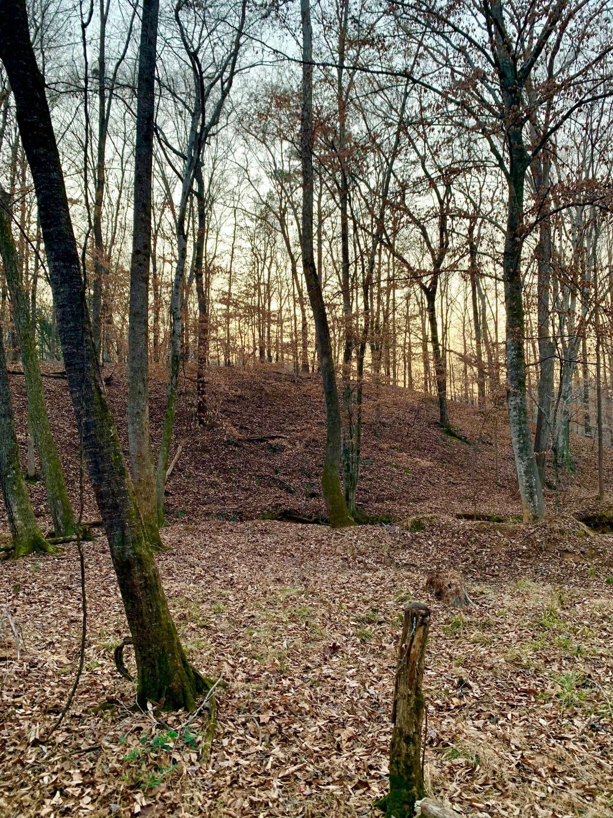 Athens, Clarke County, GA Recreational Property, Hunting Property for