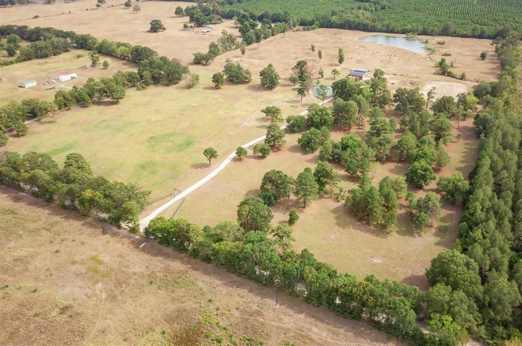 Detroit, Red River County, TX Farms and Ranches, Horse Property for