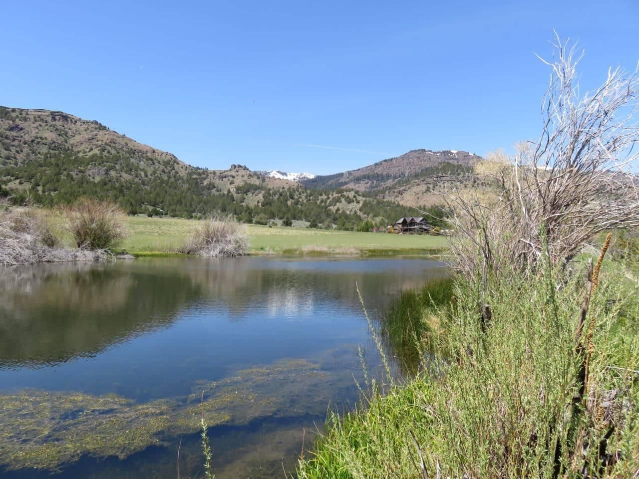 1338 County Rd. 17, Cedarville, CA 96104 LandWatch