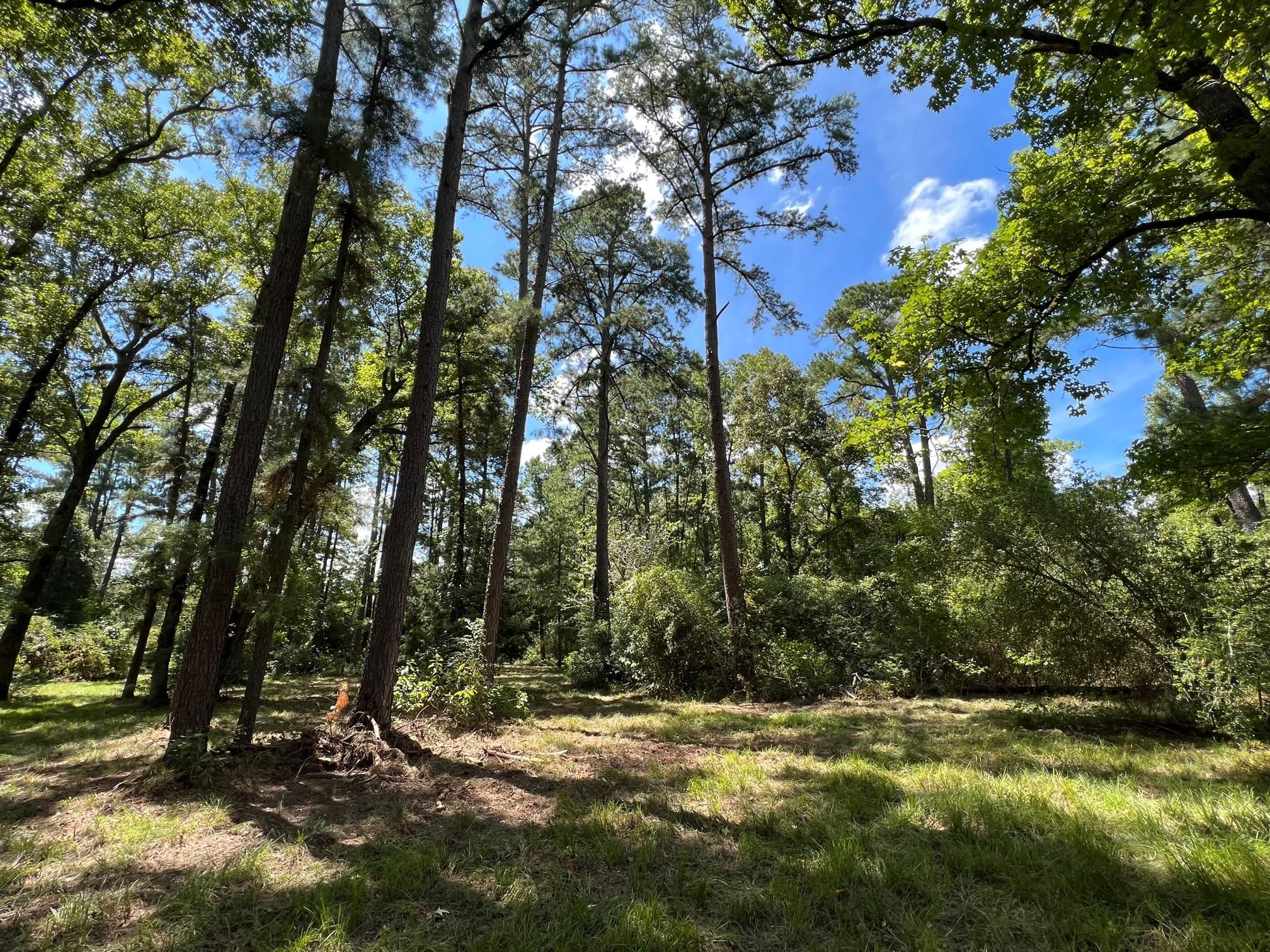 13576 CR 112, Centerville, TX 75833 LandWatch