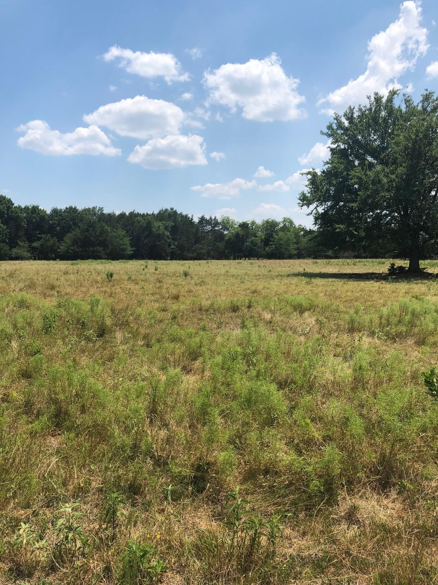 Greenville, Hunt County, TX Farms and Ranches for sale Property ID