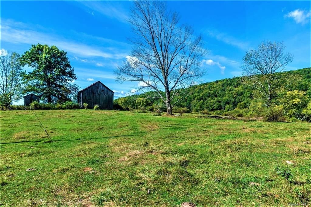Fremont, Sullivan County, NY Farms and Ranches for sale Property ID