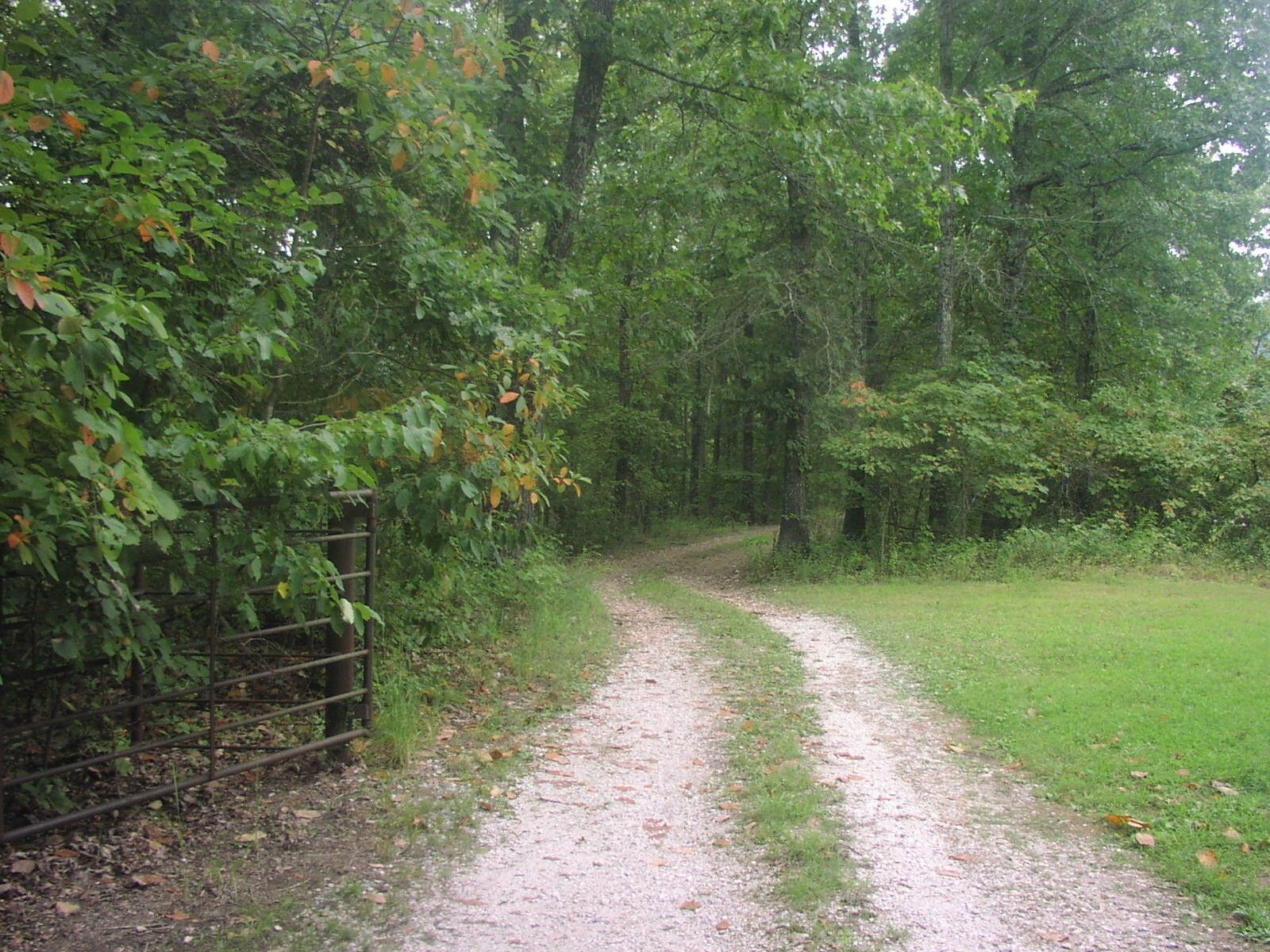 Jasper, Newton County, AR Undeveloped Land, Homesites for sale Property