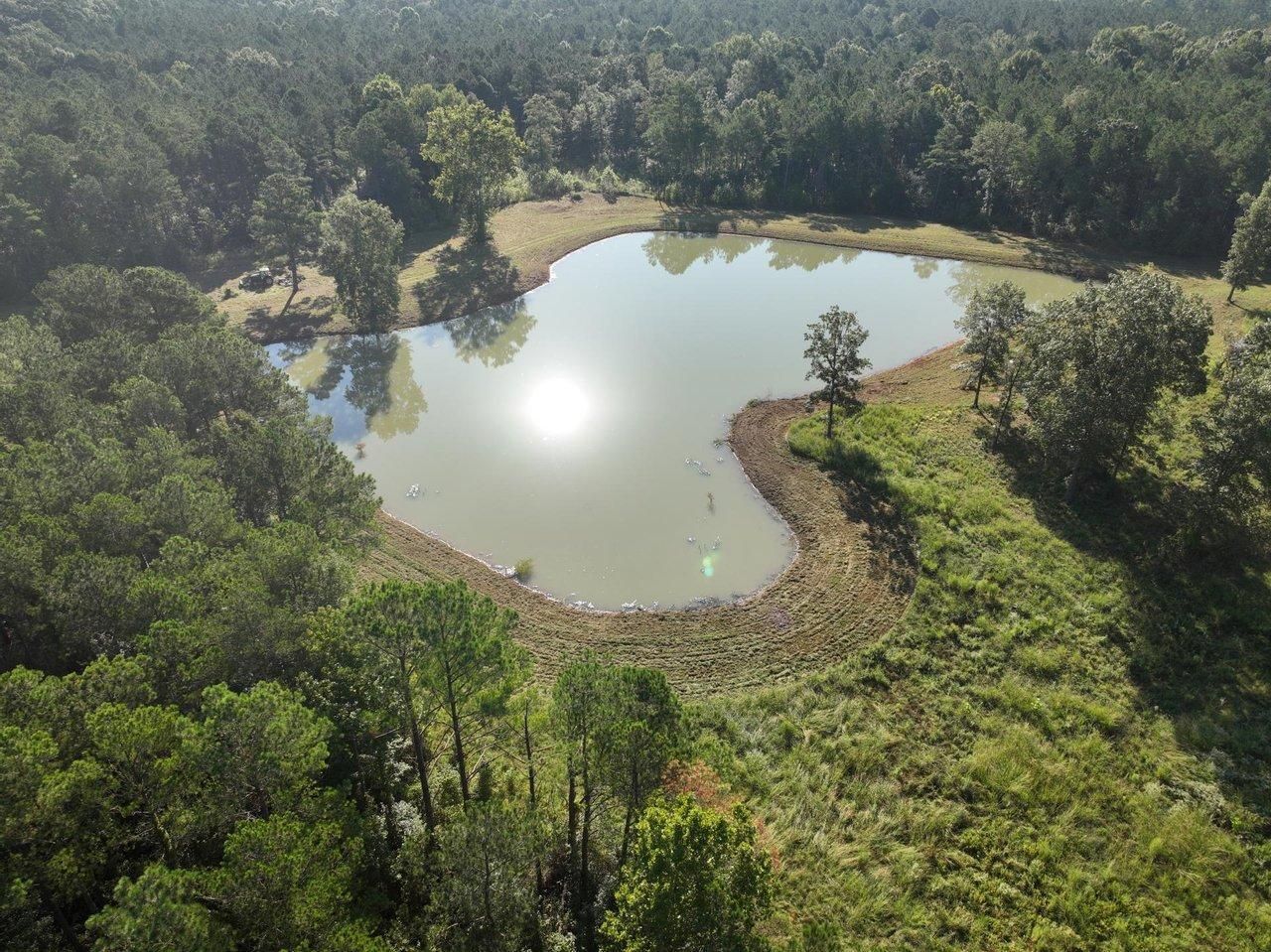 Cedar Bluff, Clay County, MS Recreational Property, Timberland Property