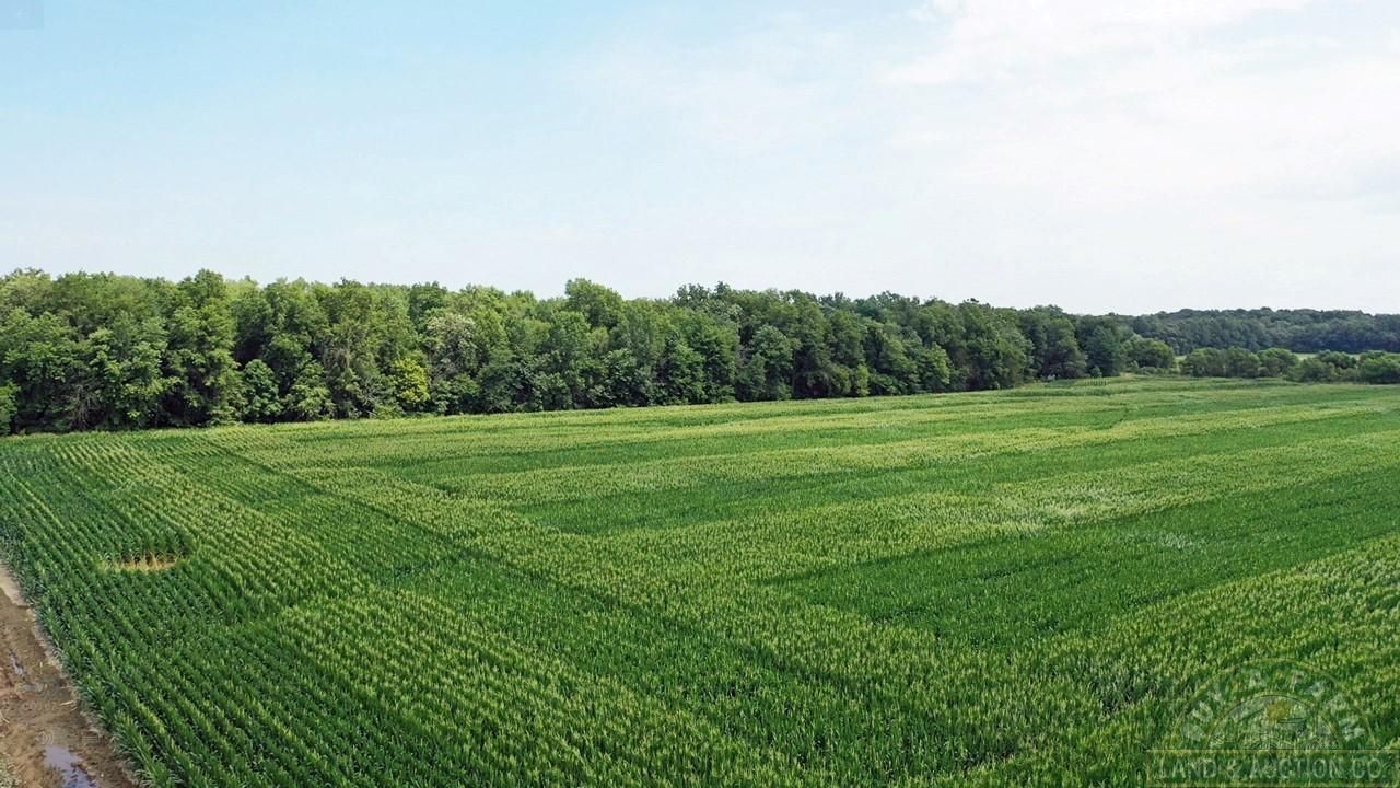 Shobonier, Fayette County, IL Farms and Ranches, Timberland Property
