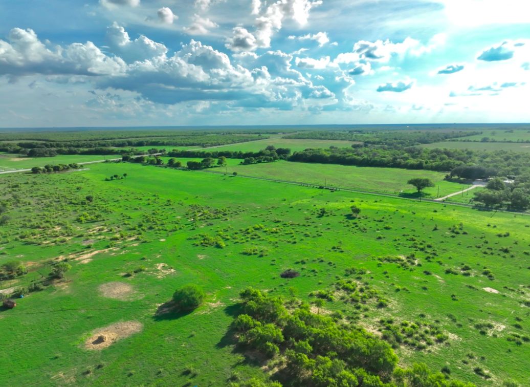 Pleasanton, Atascosa County, TX Farms and Ranches for sale Property ID