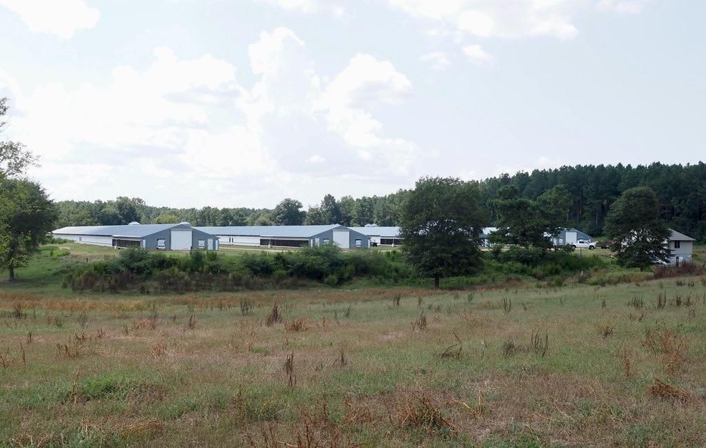 Collins, Covington County, MS Farms and Ranches, Commercial Property