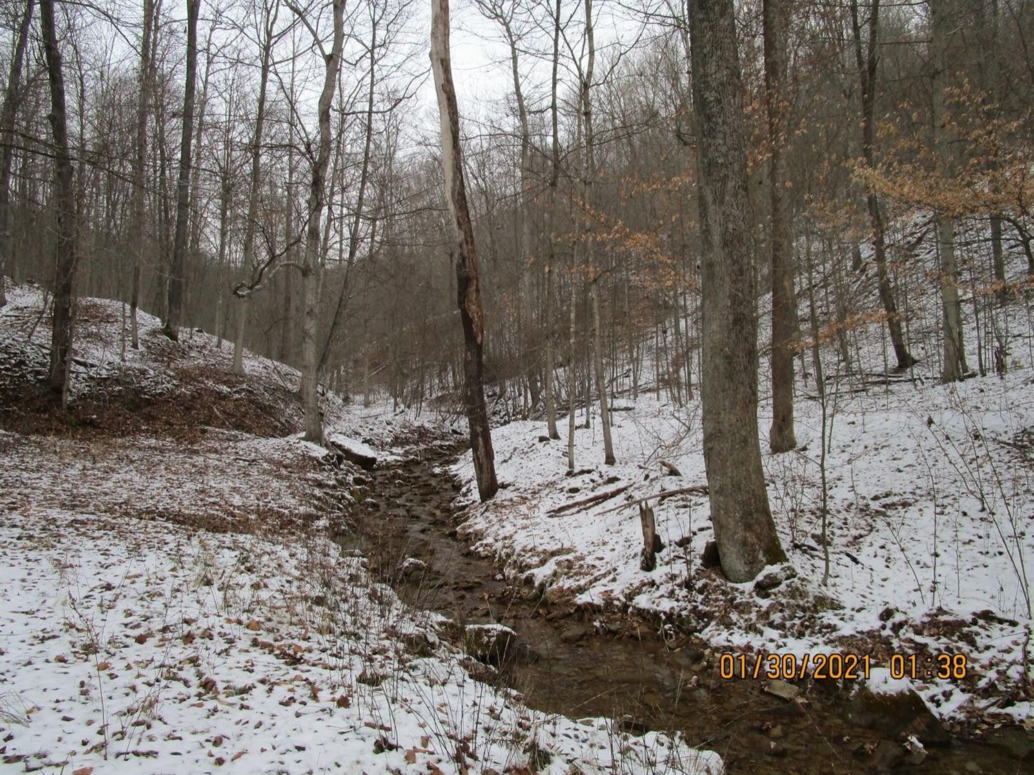 Peebles, Adams County, OH Undeveloped Land for sale Property ID