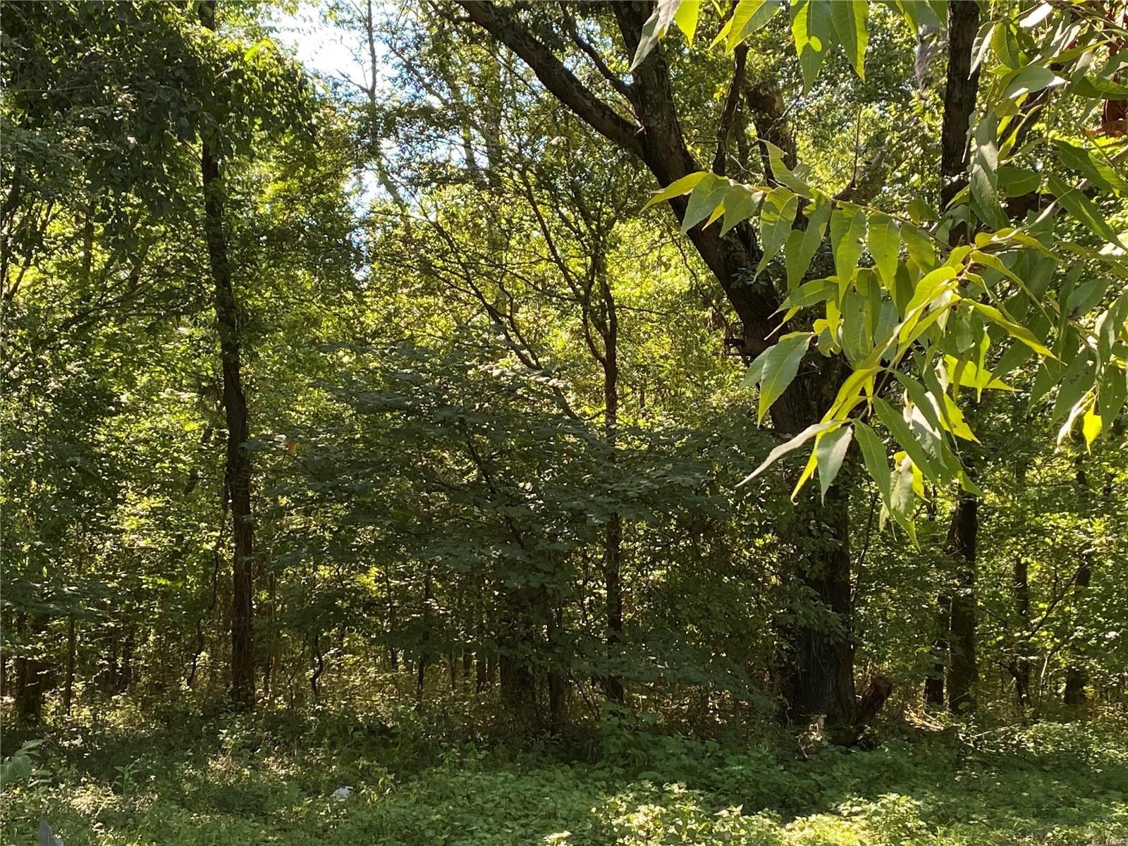 Butler, Butler County, MO Farms and Ranches for sale Property ID