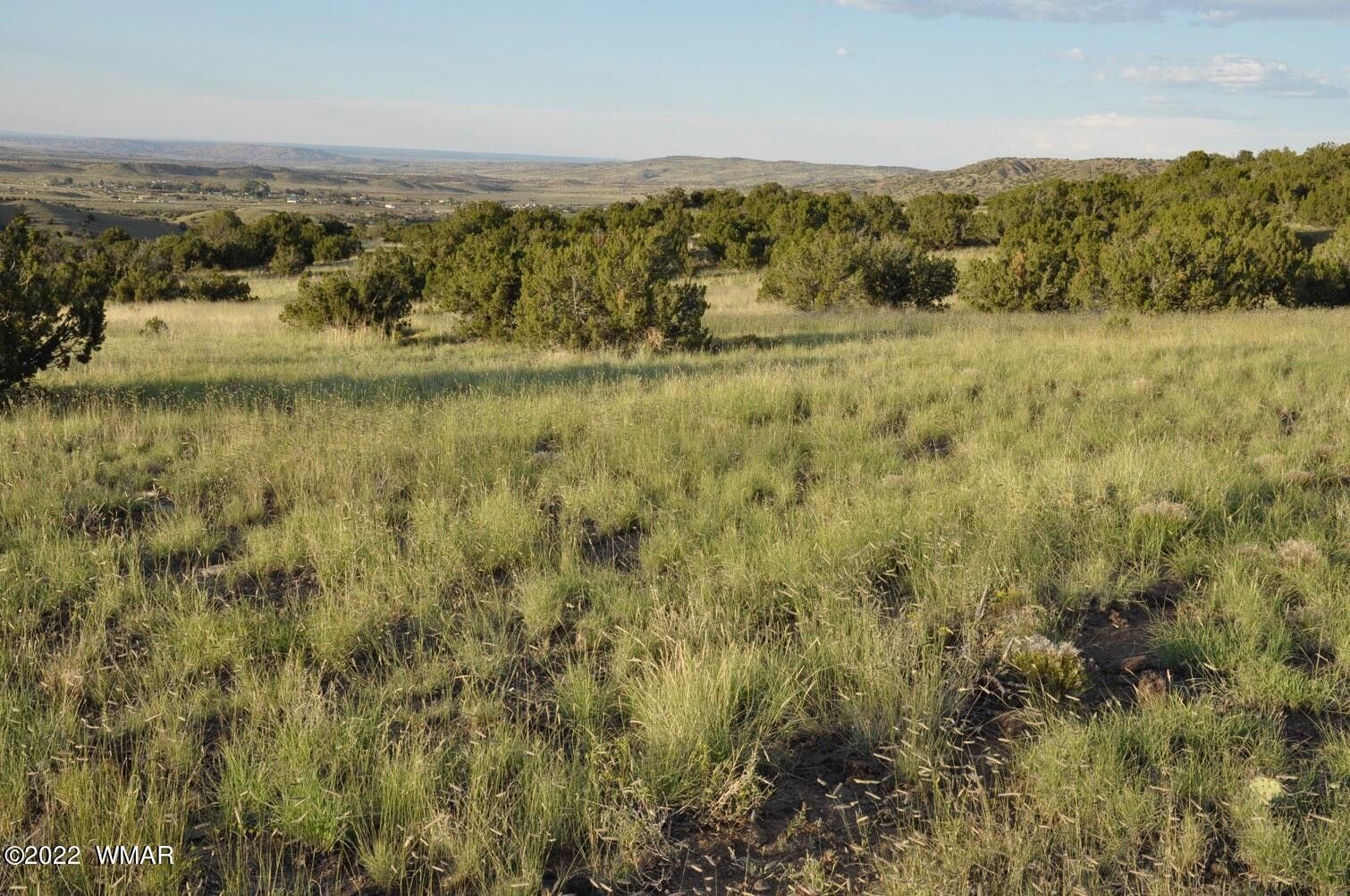 Concho, Apache County, AZ Undeveloped Land, Lakefront Property