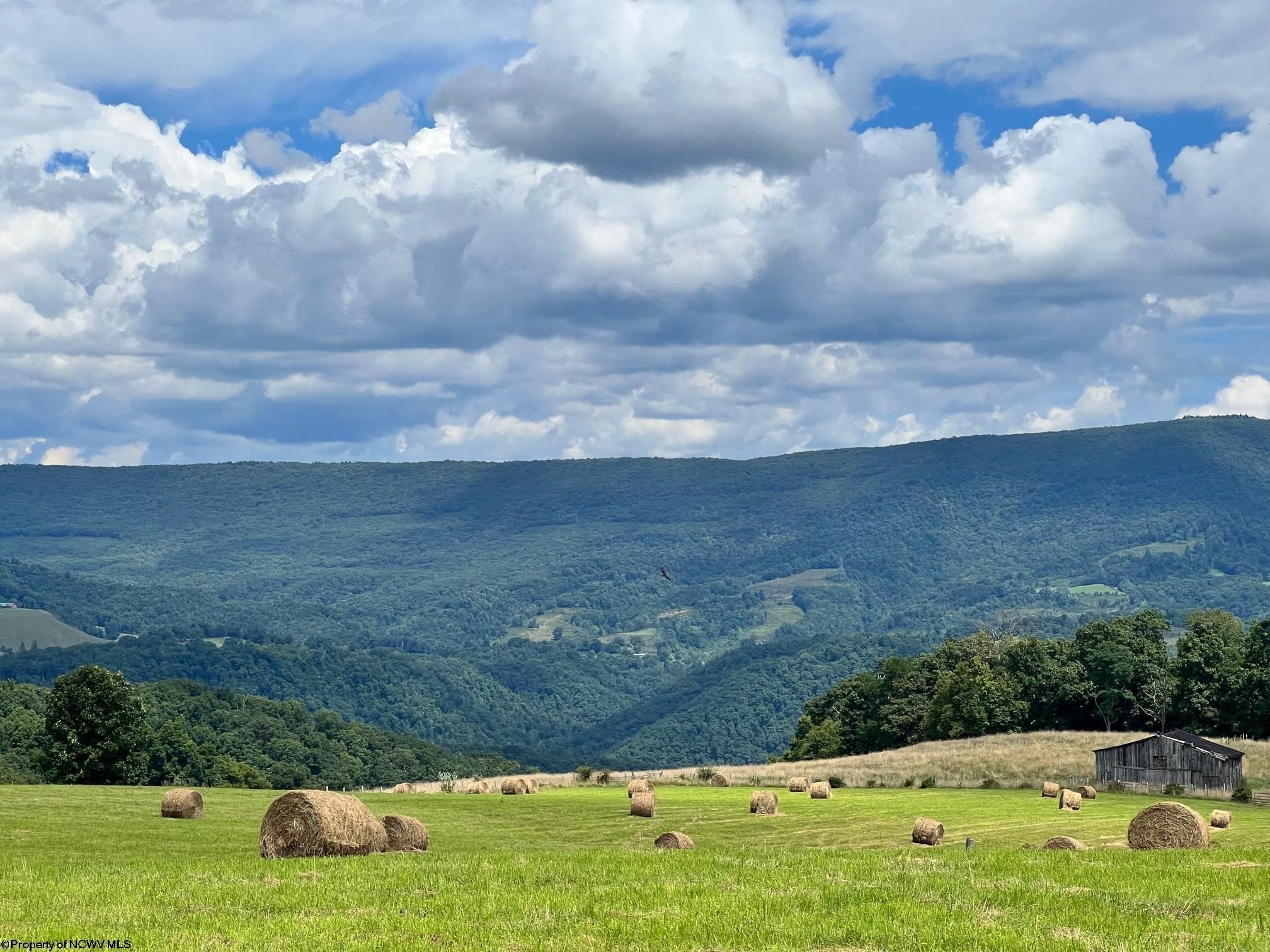 Davis, Tucker County, WV Farms and Ranches, Lakefront Property, Waterfront Property for sale