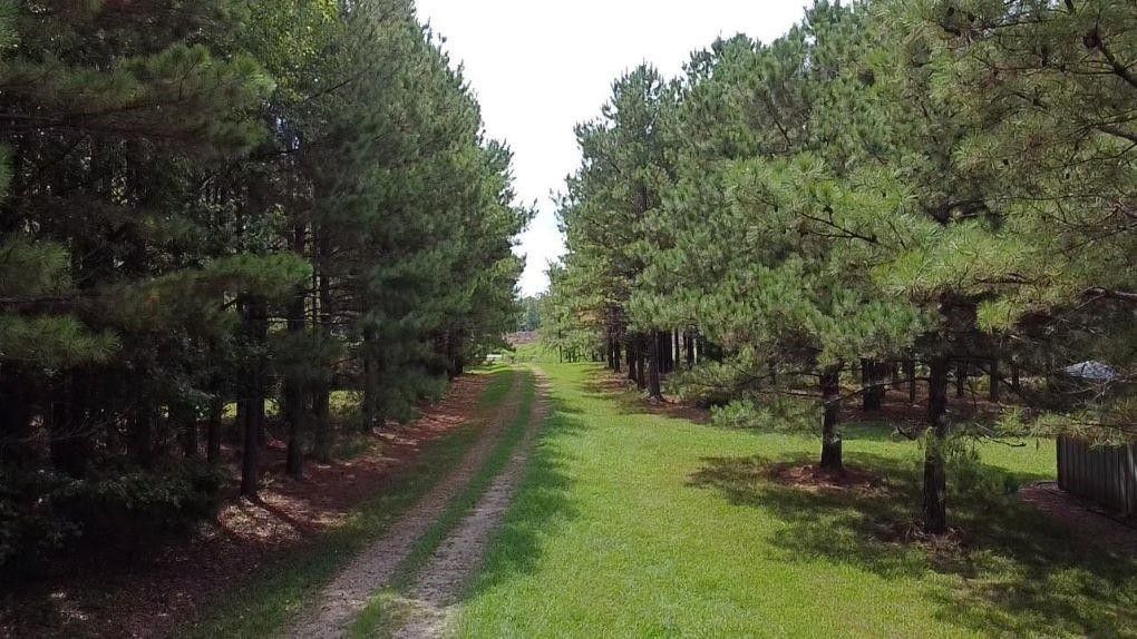 Haworth, McCurtain County, OK Undeveloped Land for sale Property ID