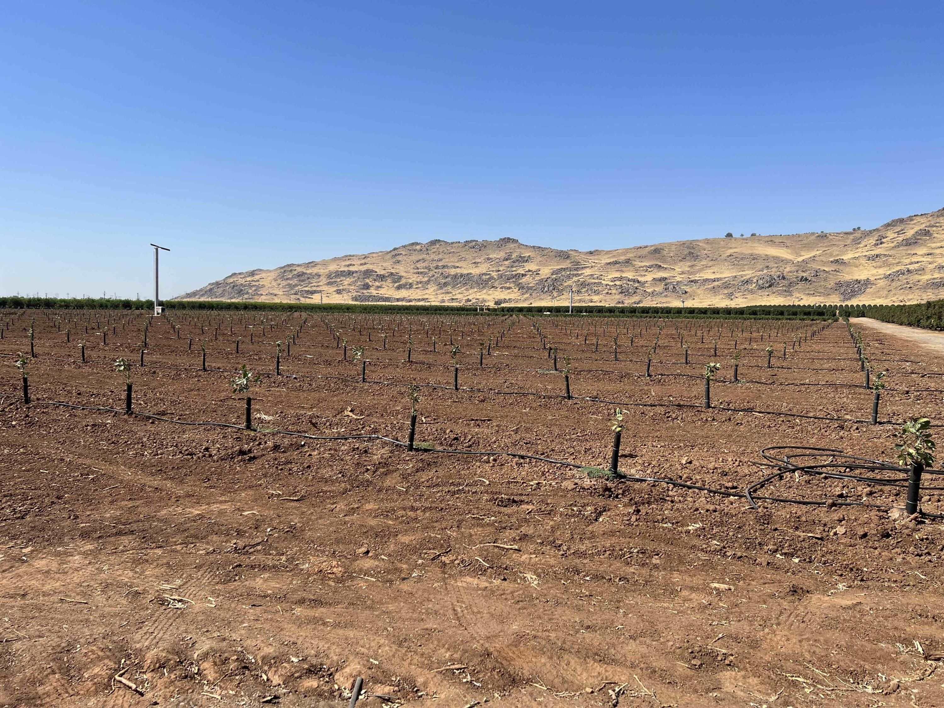 Orange Cove, Fresno County, CA Farms and Ranches for sale Property ID 414739788 LandWatch