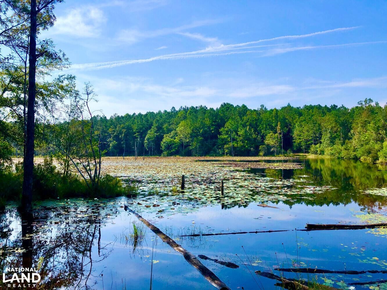Lucedale, Greene County, MS Recreational Property, Hunting Property for sale Property ID