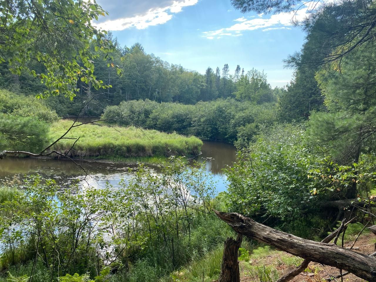 Clearwater Lake, Vilas County, WI Undeveloped Land, Lakefront Property