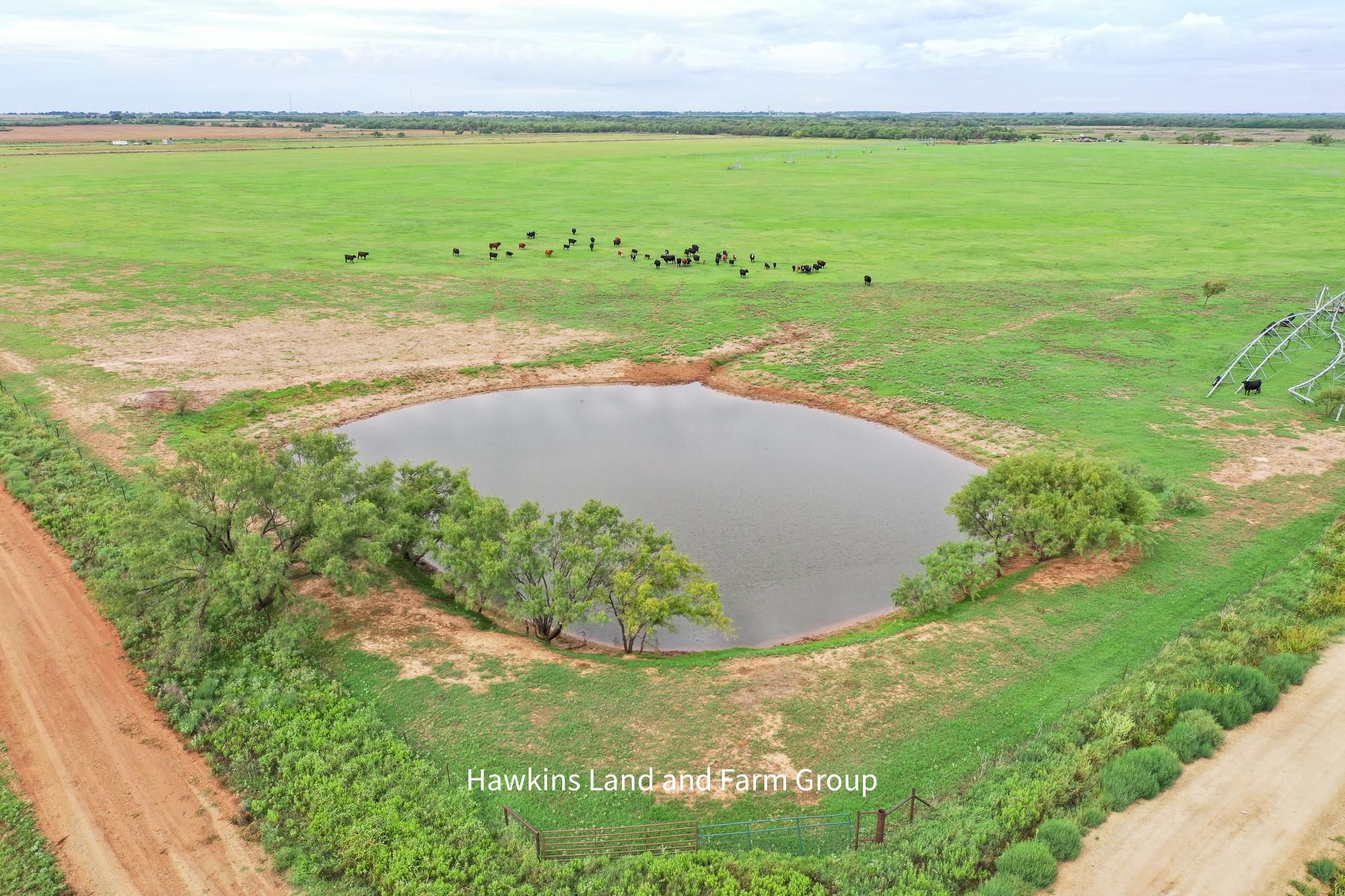 Knox City, Knox County, TX Farms and Ranches, Recreational Property