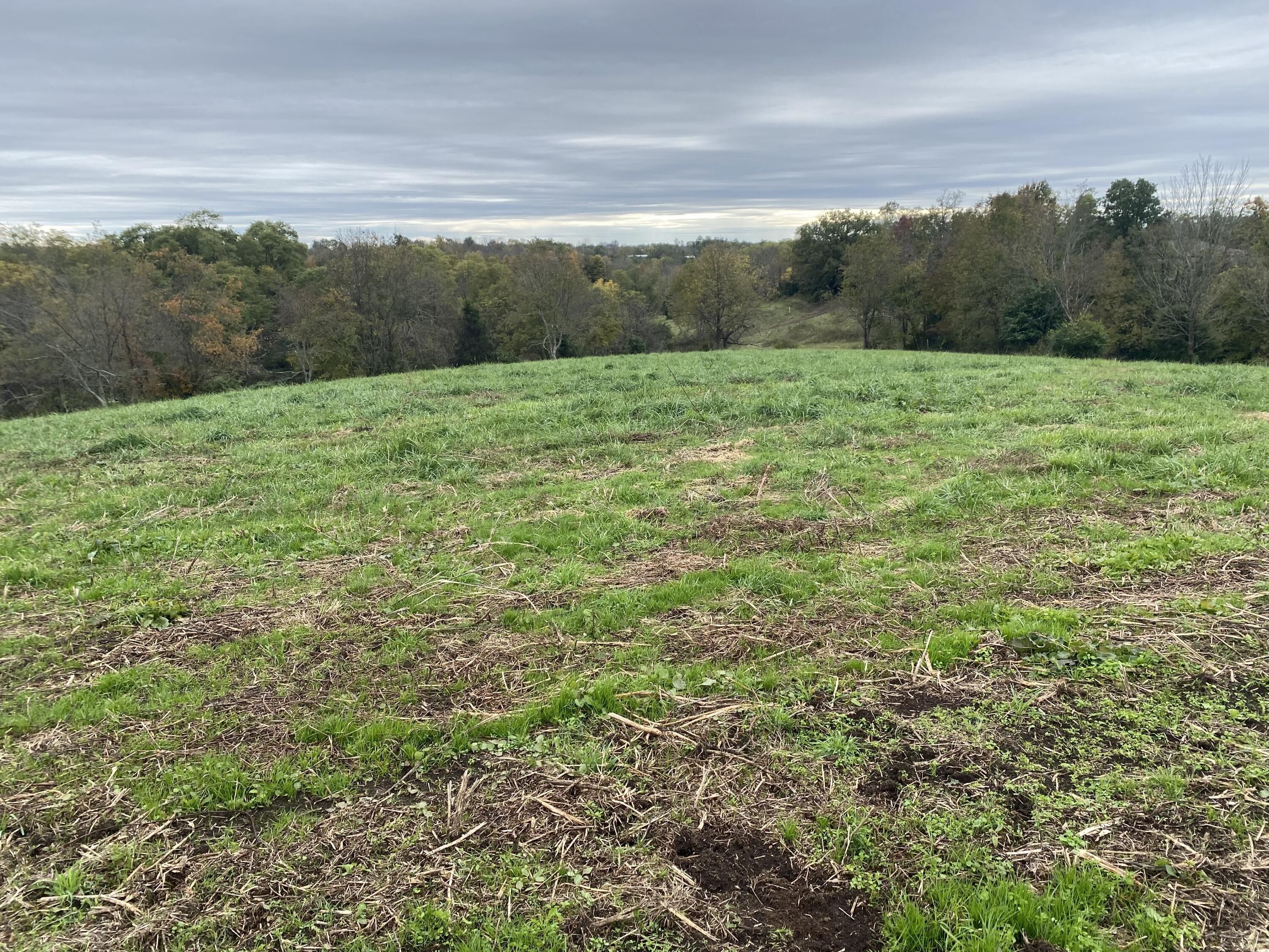 Winchester, Clark County, KY Undeveloped Land for sale Property ID