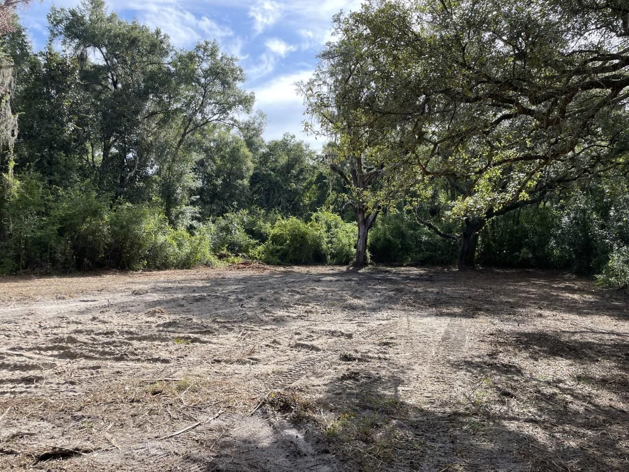 ster, Hernando County, FL Recreational Property, Undeveloped Land