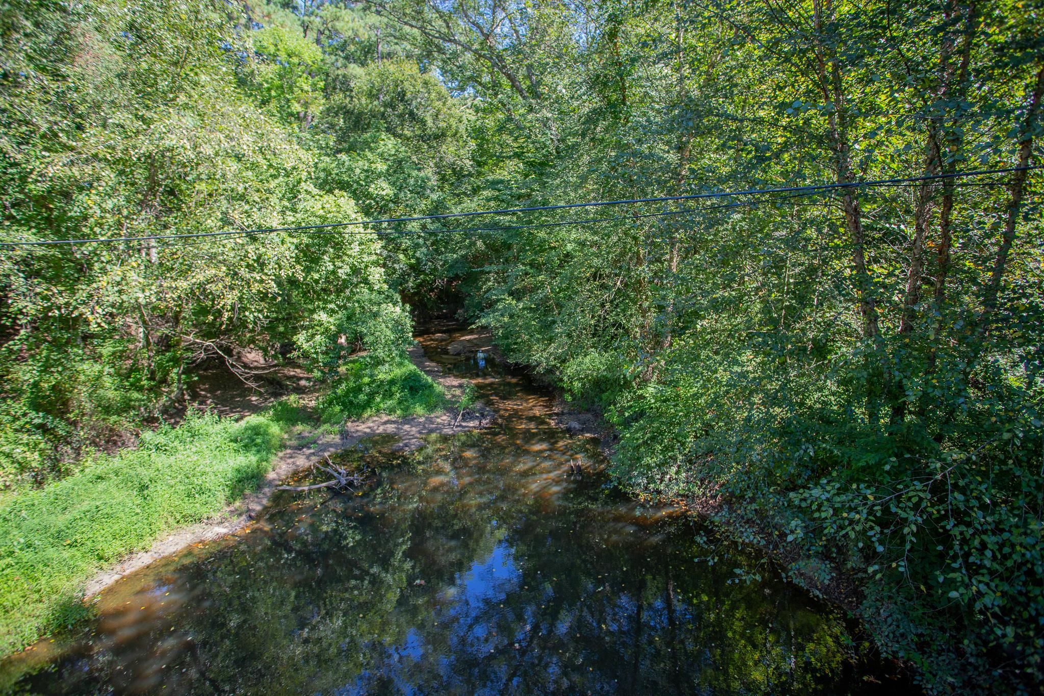 Skippers, Greensville County, VA Recreational Property, Hunting