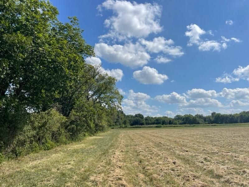 Nevada, Vernon County, MO Farms and Ranches, Undeveloped Land for sale