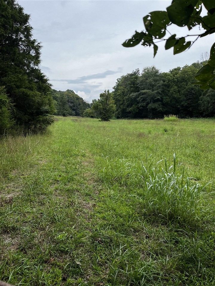 Russellville, Logan County, KY Undeveloped Land for sale Property ID