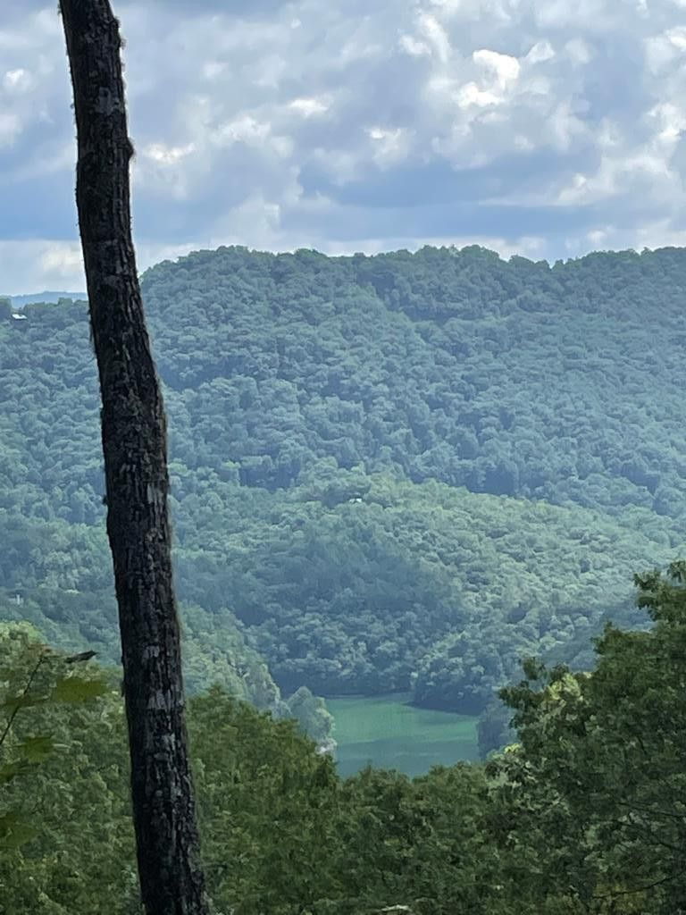 Bryson City, Swain County, NC Undeveloped Land for sale Property ID