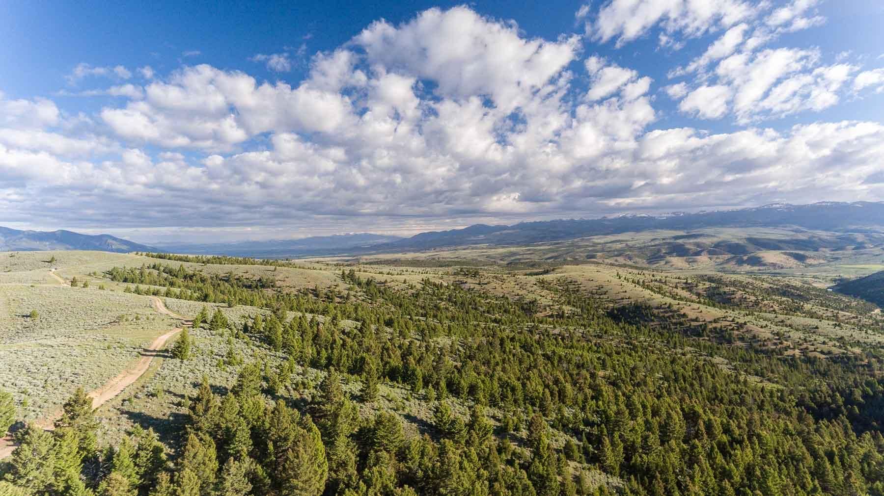 Virginia City, Madison County, MT Farms and Ranches, Recreational