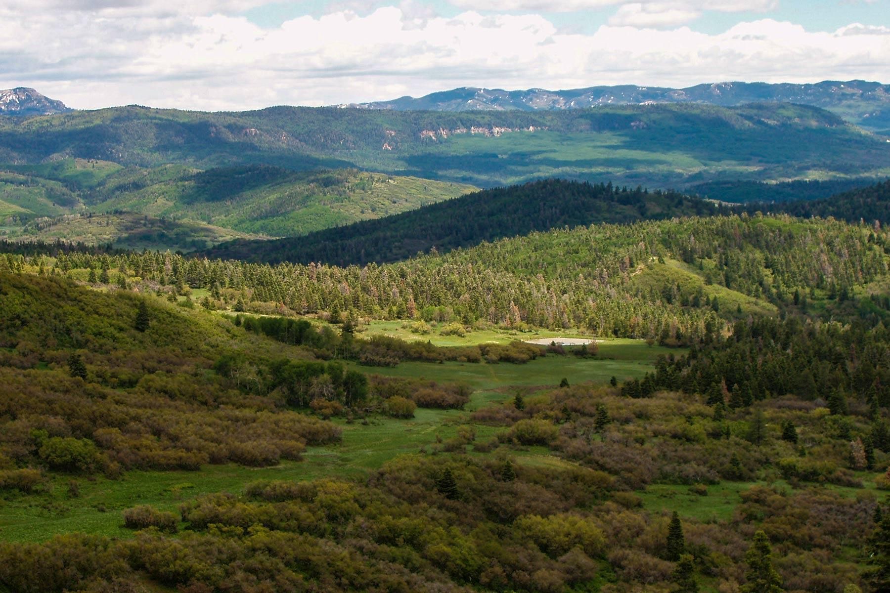 Chama NM, Chama, NM 87520 LandWatch