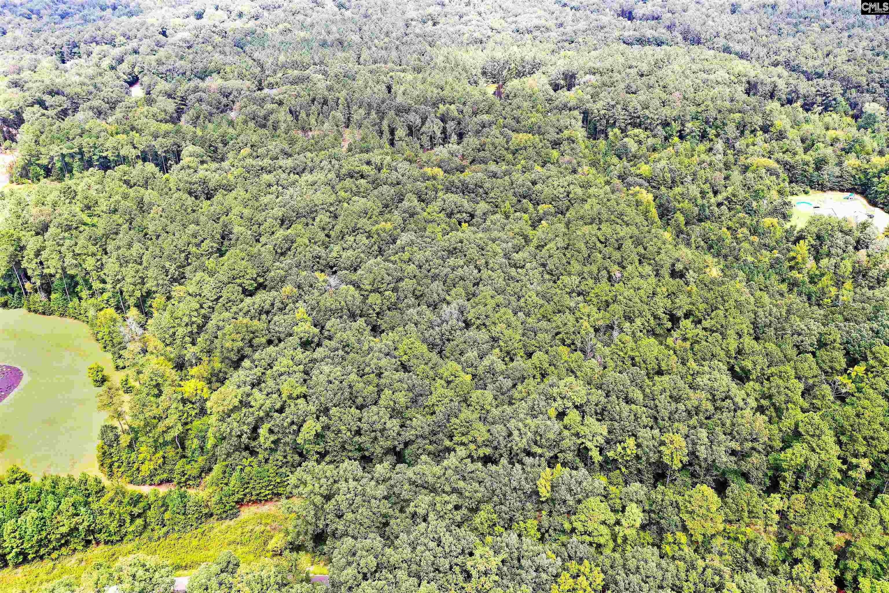 Blythewood, Richland County, SC Undeveloped Land for sale Property ID