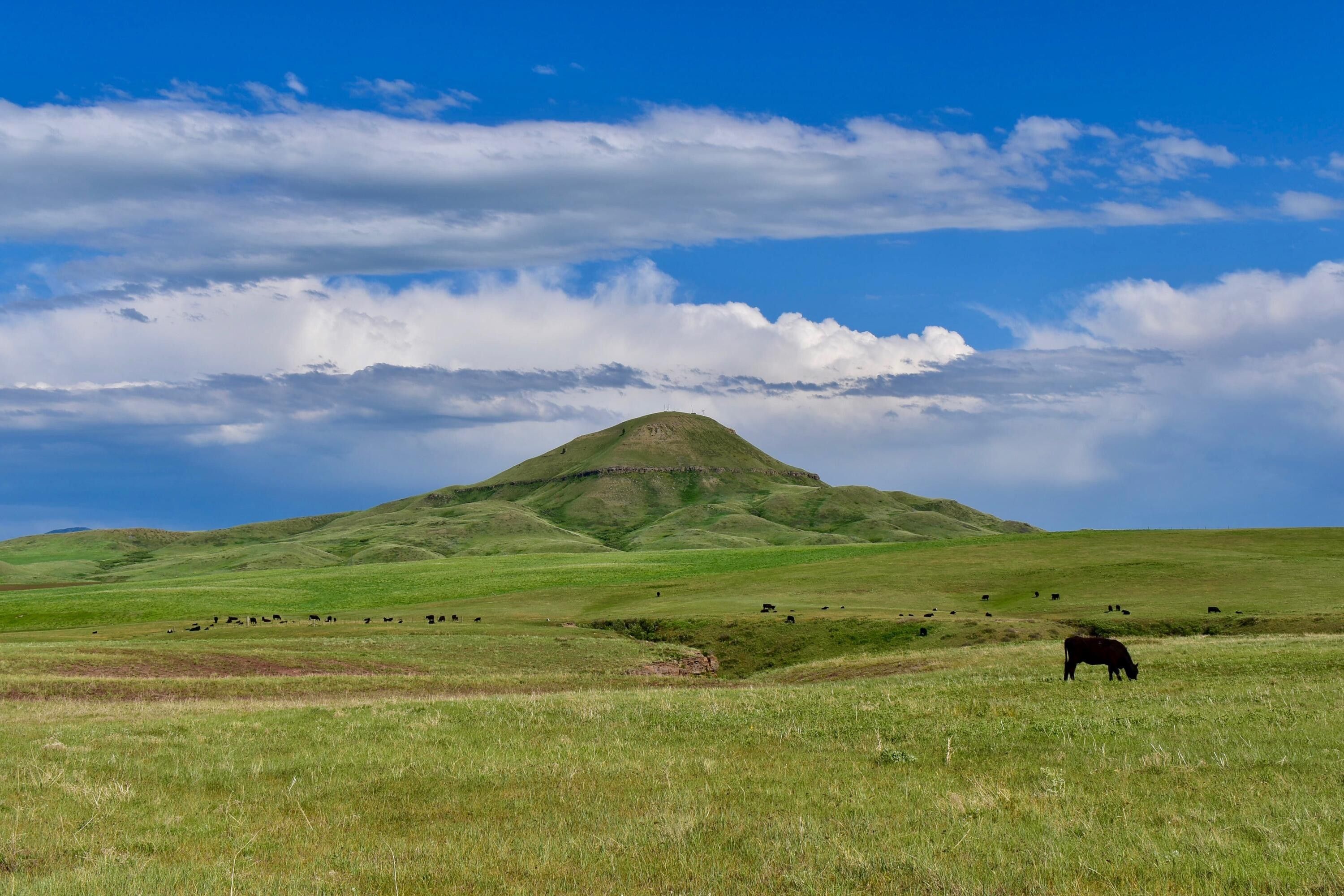 Belt, Cascade County, MT Farms and Ranches for sale Property ID