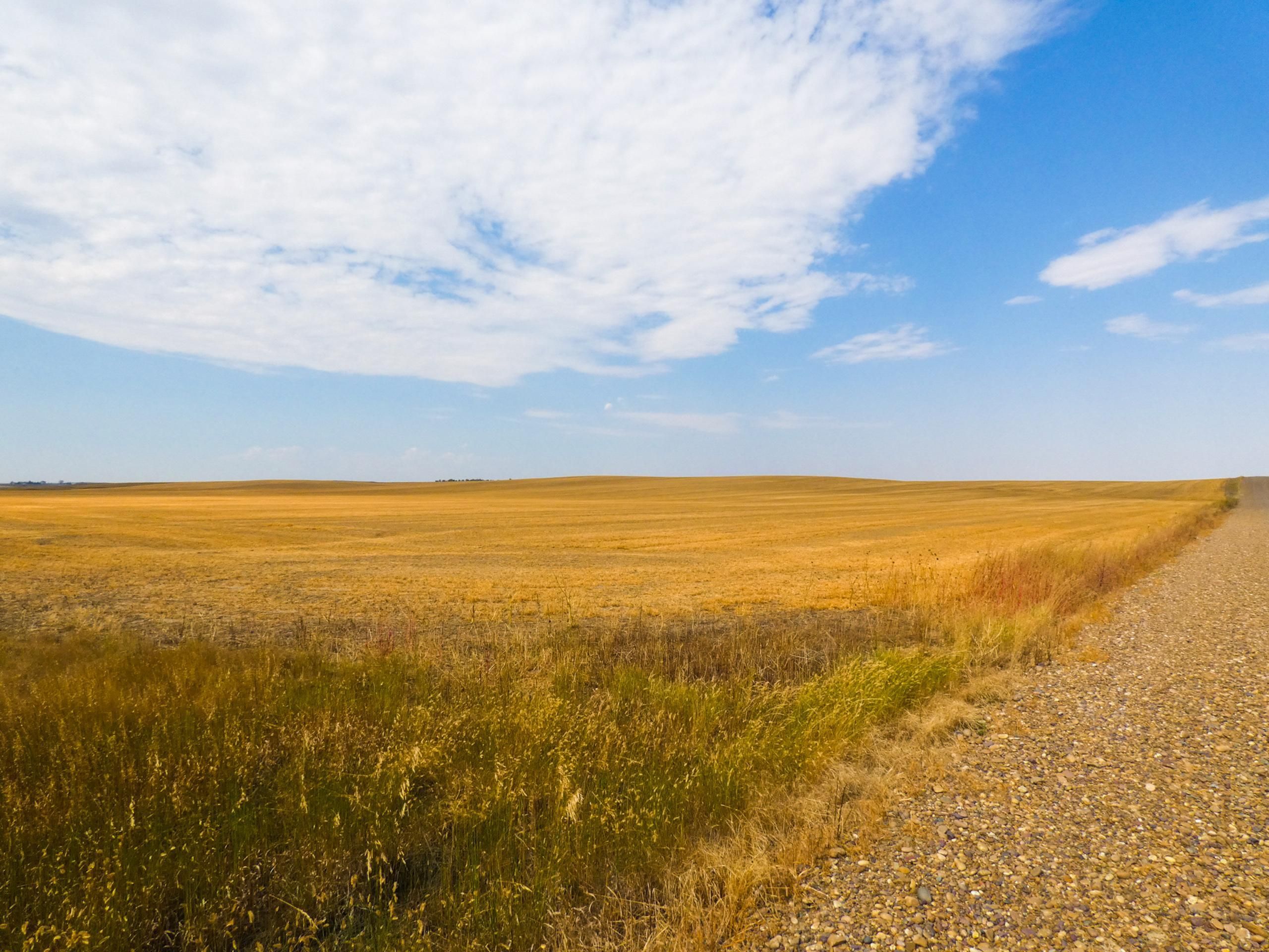 Peerless, Daniels County, MT Farms and Ranches, Recreational Property