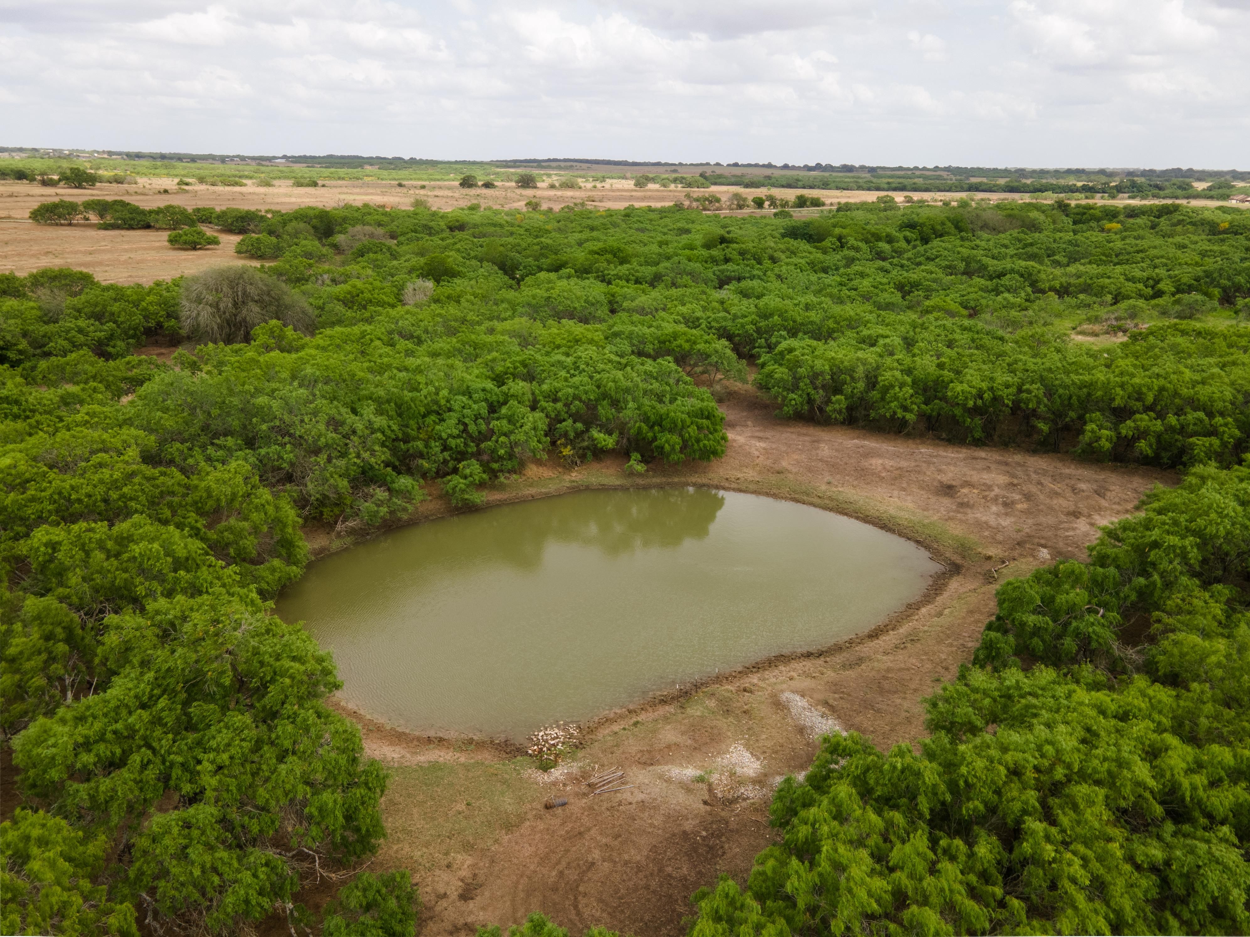 Pleasanton, Wilson County, TX Recreational Property, Hunting Property
