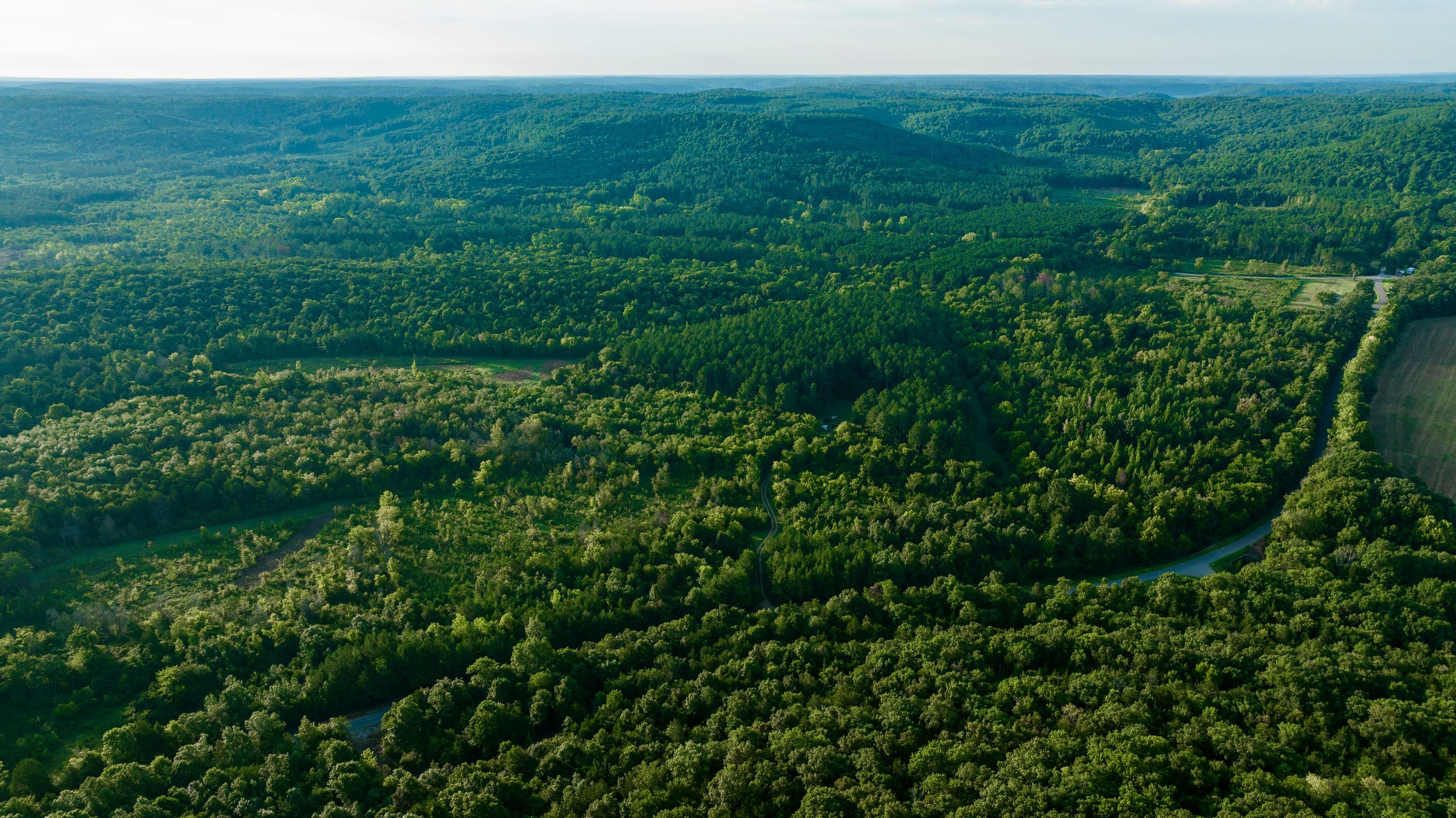 Youngtown, Lawrence County, AL Farms and Ranches, Recreational Property