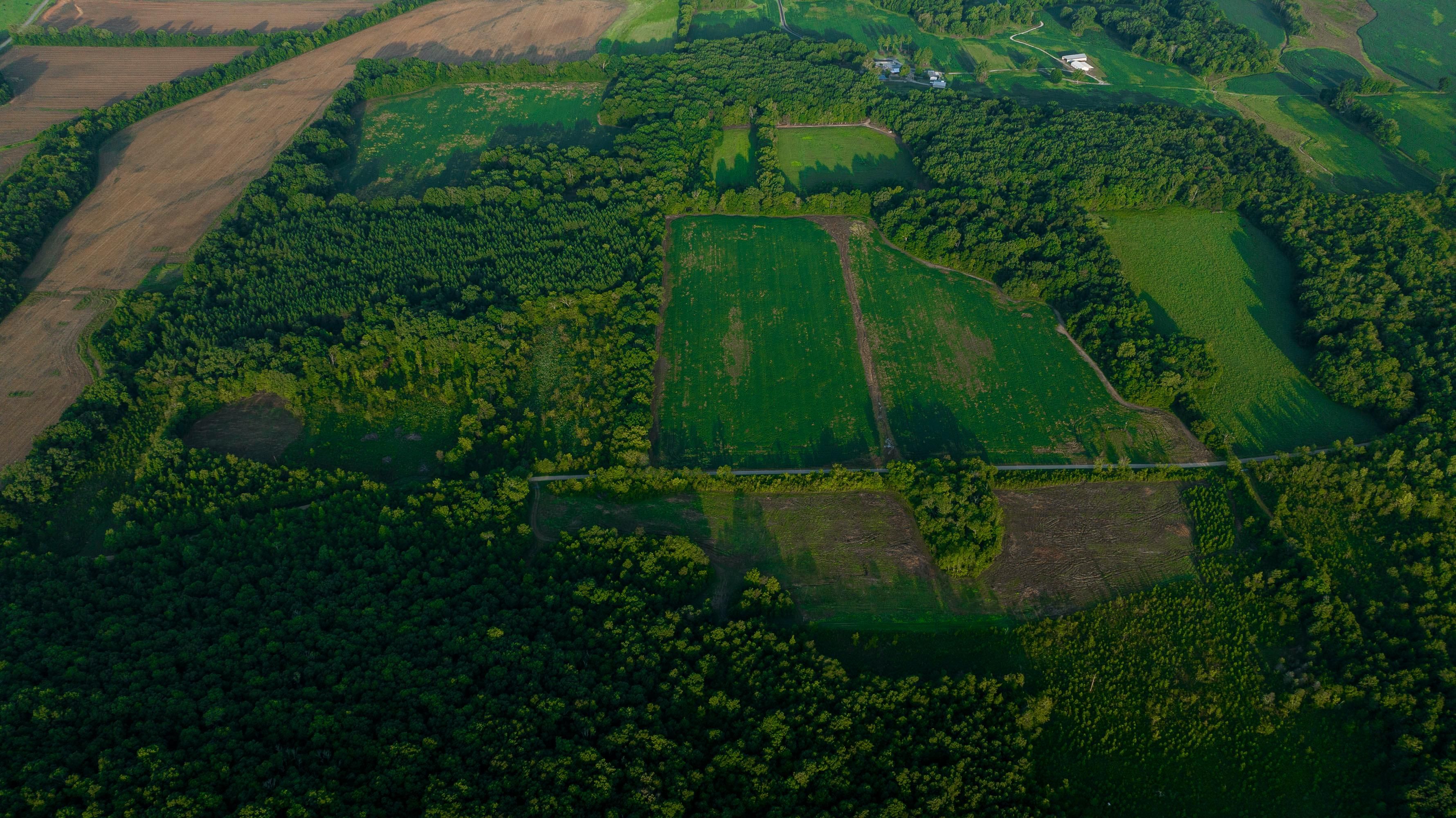 Youngtown, Lawrence County, AL Farms and Ranches, Hunting Property for