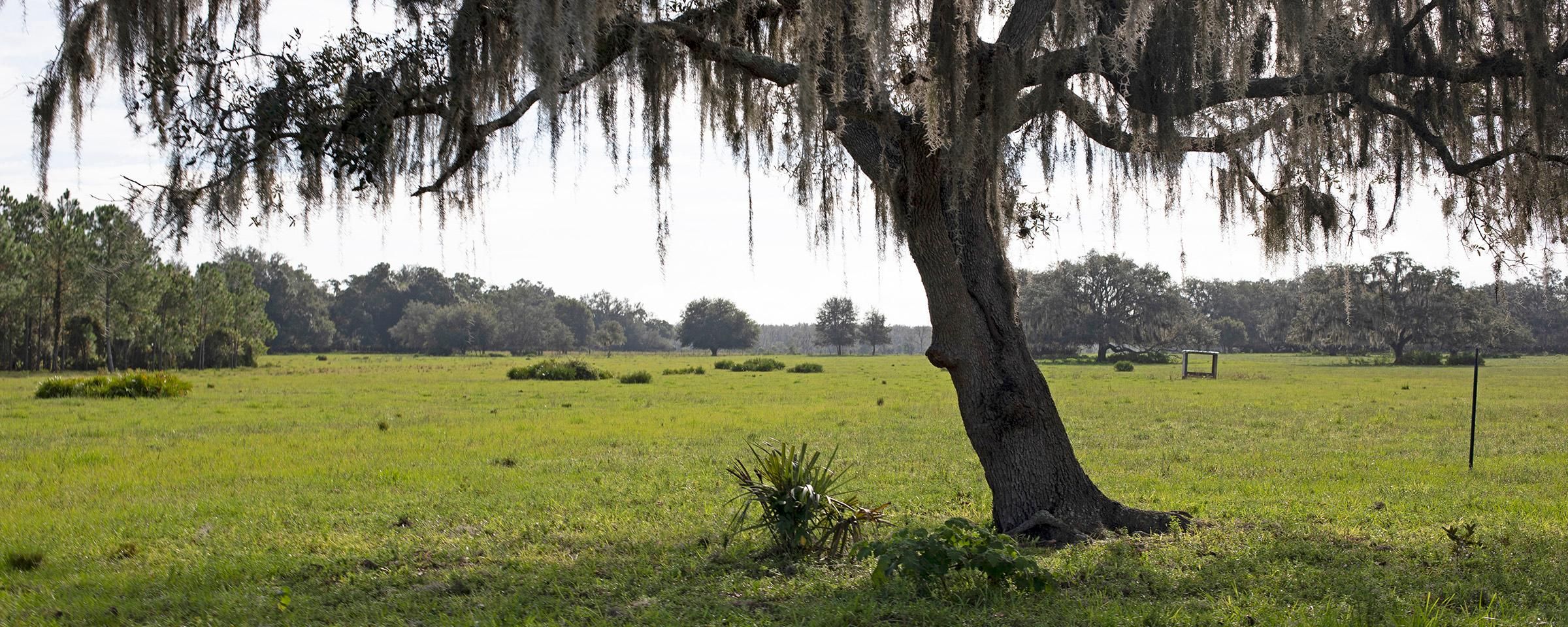 Zolfo Springs, Hardee County, FL Recreational Property, Hunting