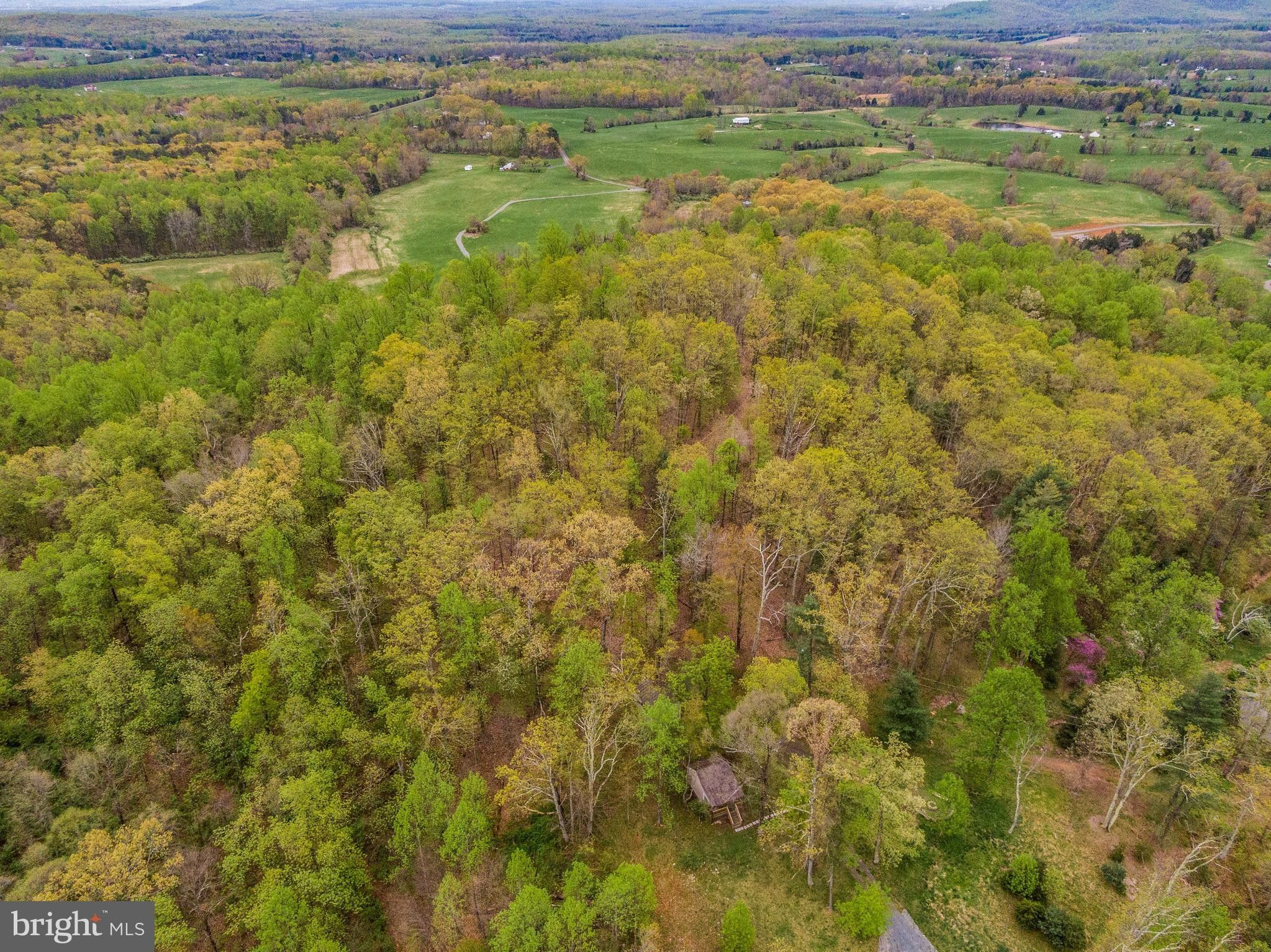 Locust Grove, Orange County, VA Undeveloped Land for sale Property ID