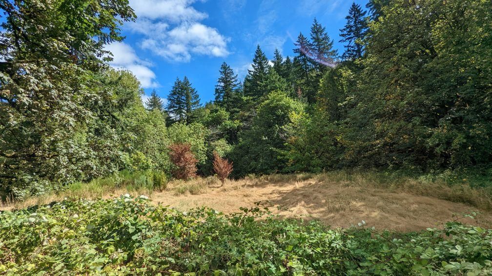 0.48 acres in Shelton, WA, 98584 LandWatch