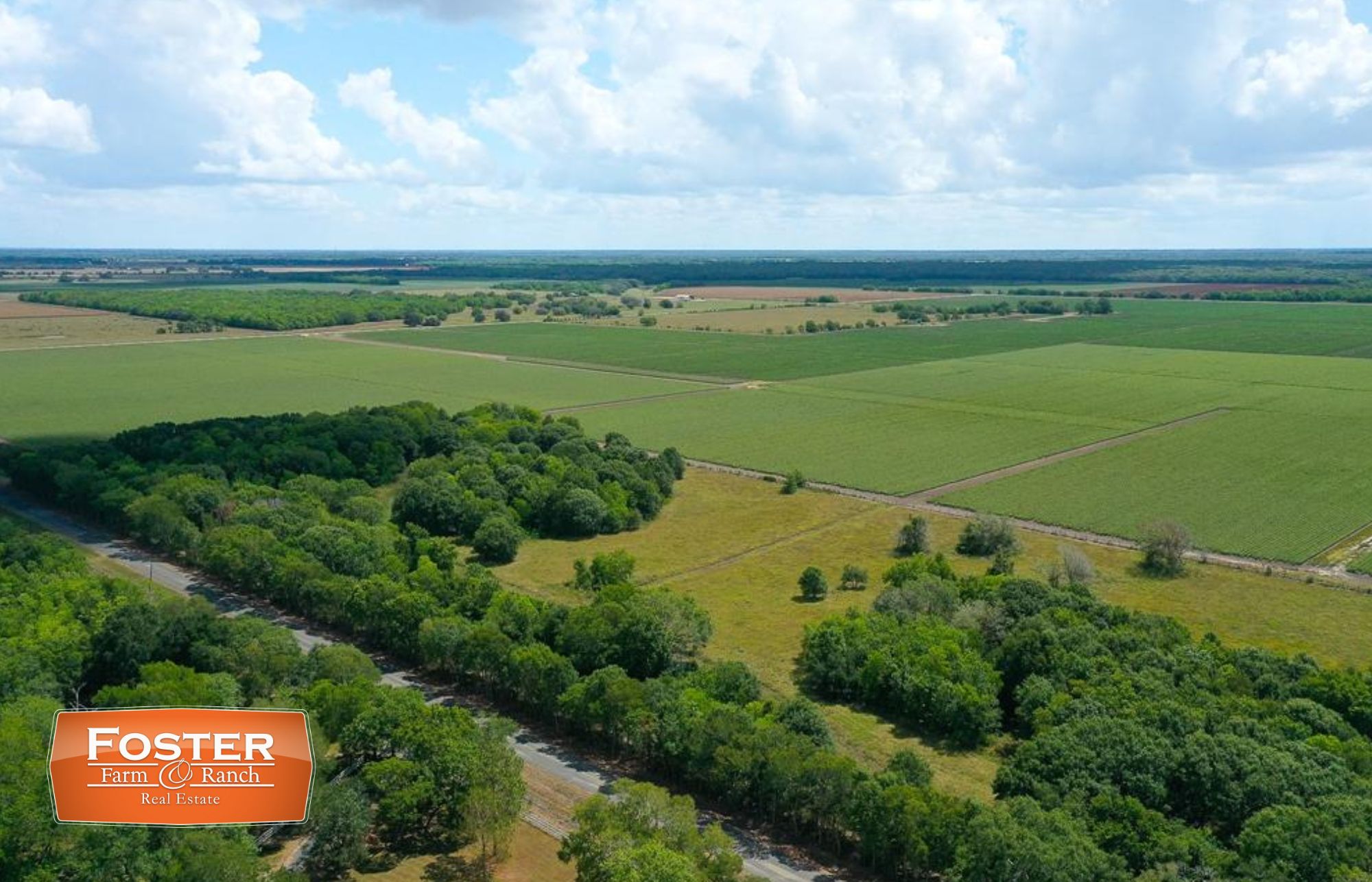 60 acres in Damon, TX, 77430 MLS 38661561 LandWatch