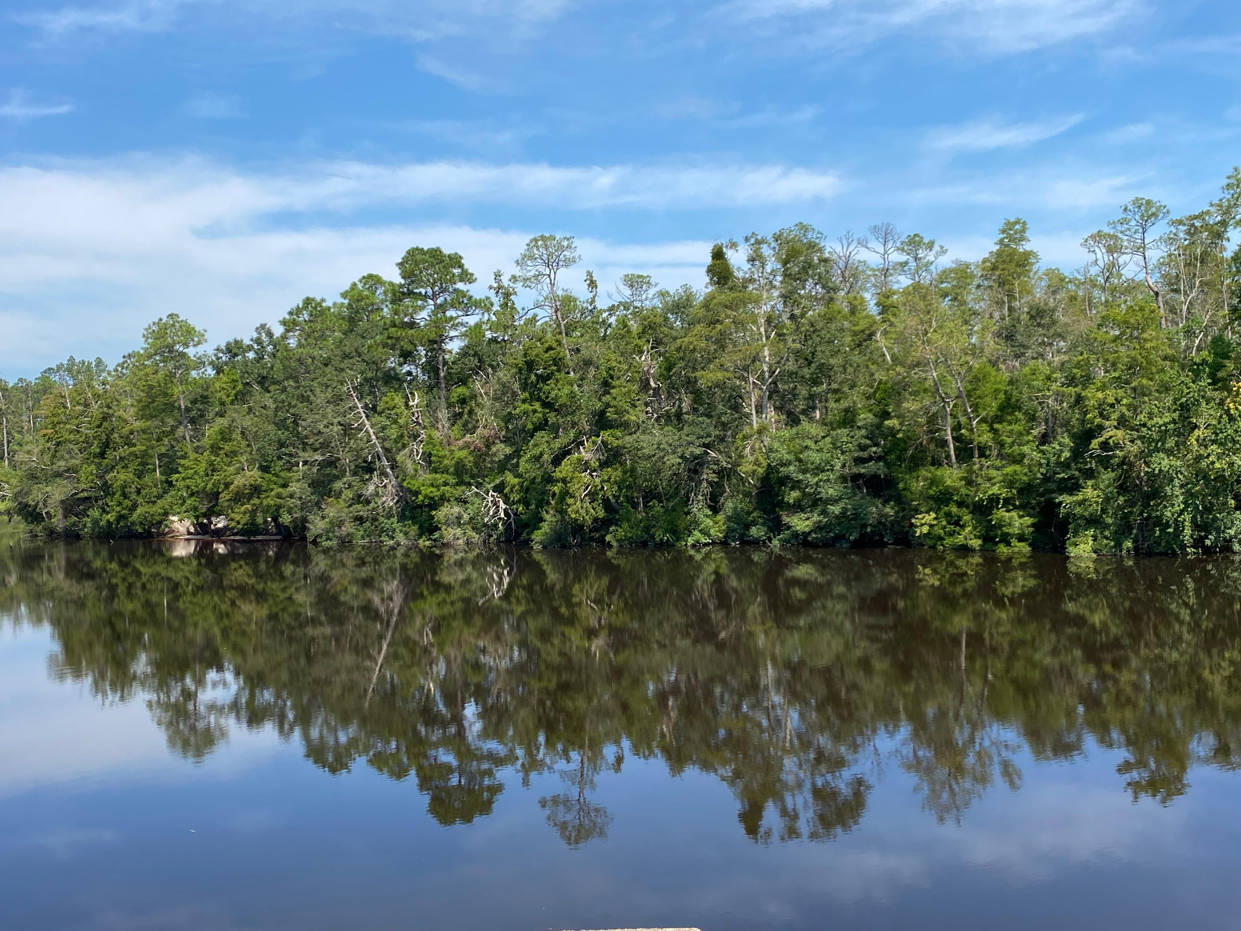 Seminole, Baldwin County, AL Recreational Property, Timberland Property