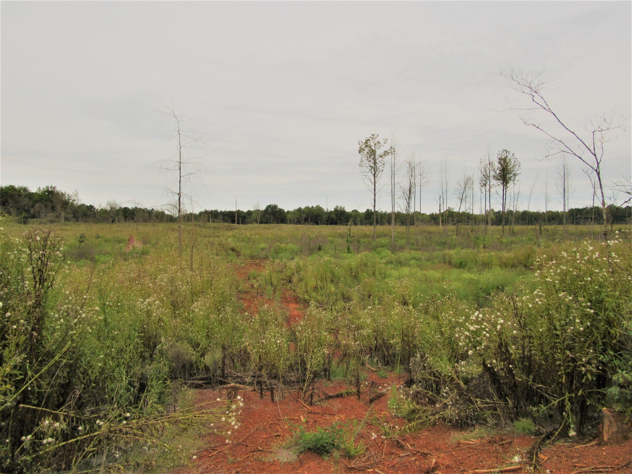 Russellville, Franklin County, AL Recreational Property for sale